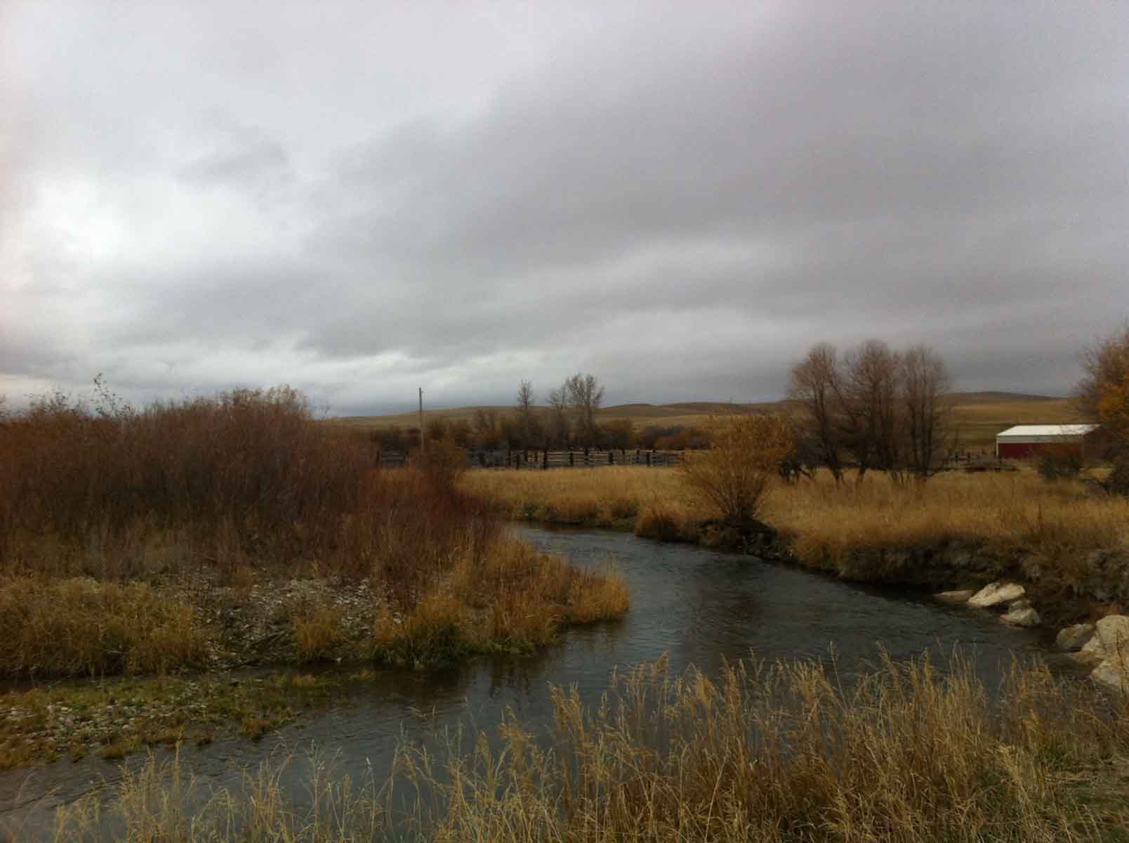 Lazy L Creek Ranch property picture 12 of 22