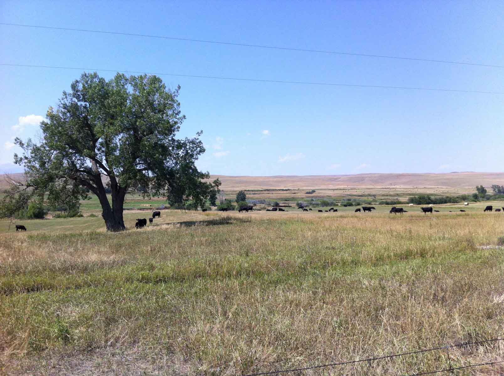 Lazy L Creek Ranch property picture 20 of 22