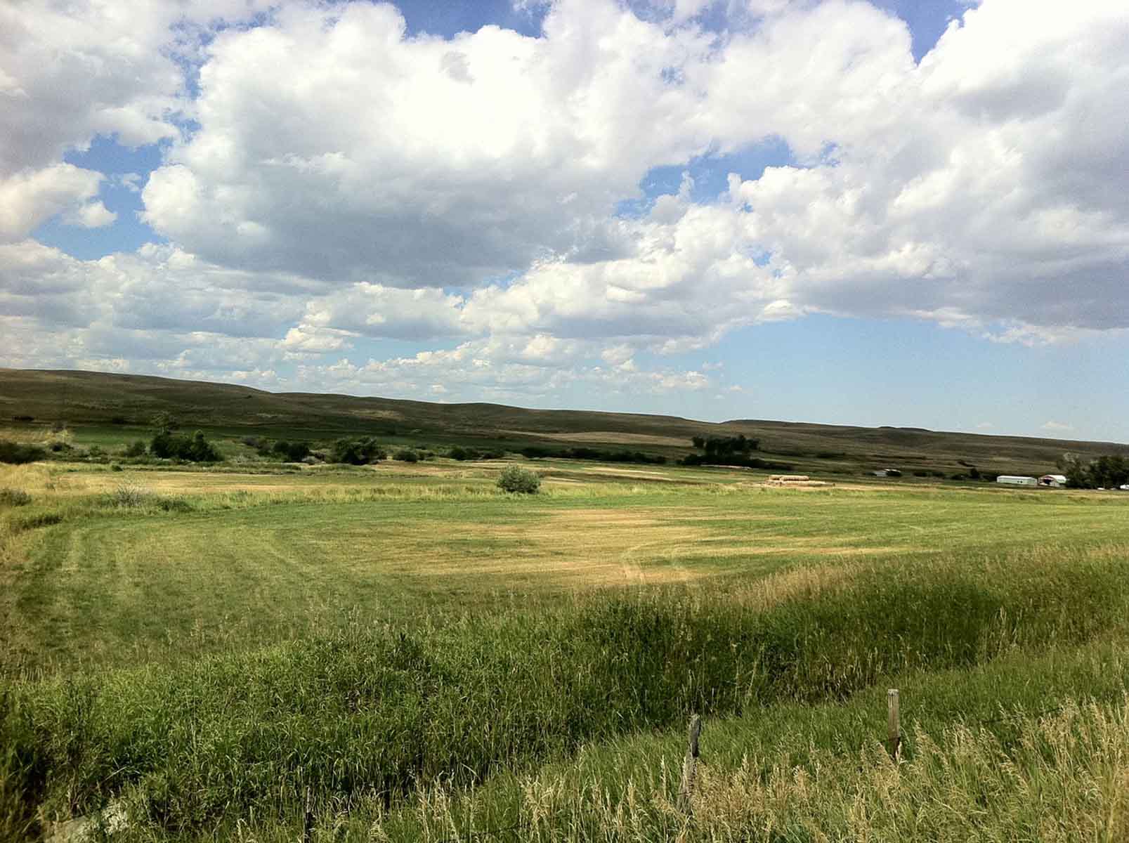 Lazy L Creek Ranch property picture 8 of 22