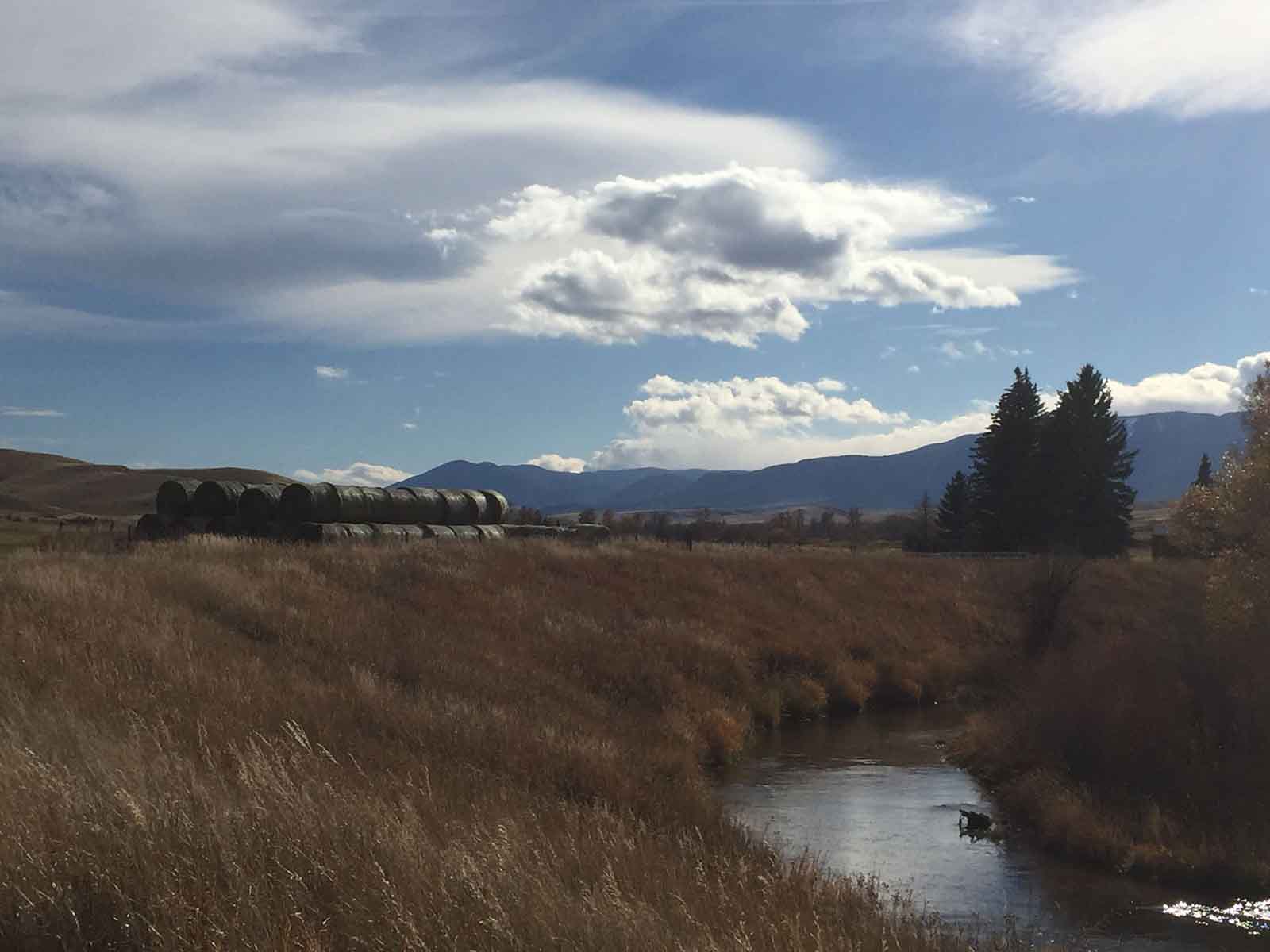 Lazy L Creek Ranch property picture 10 of 22