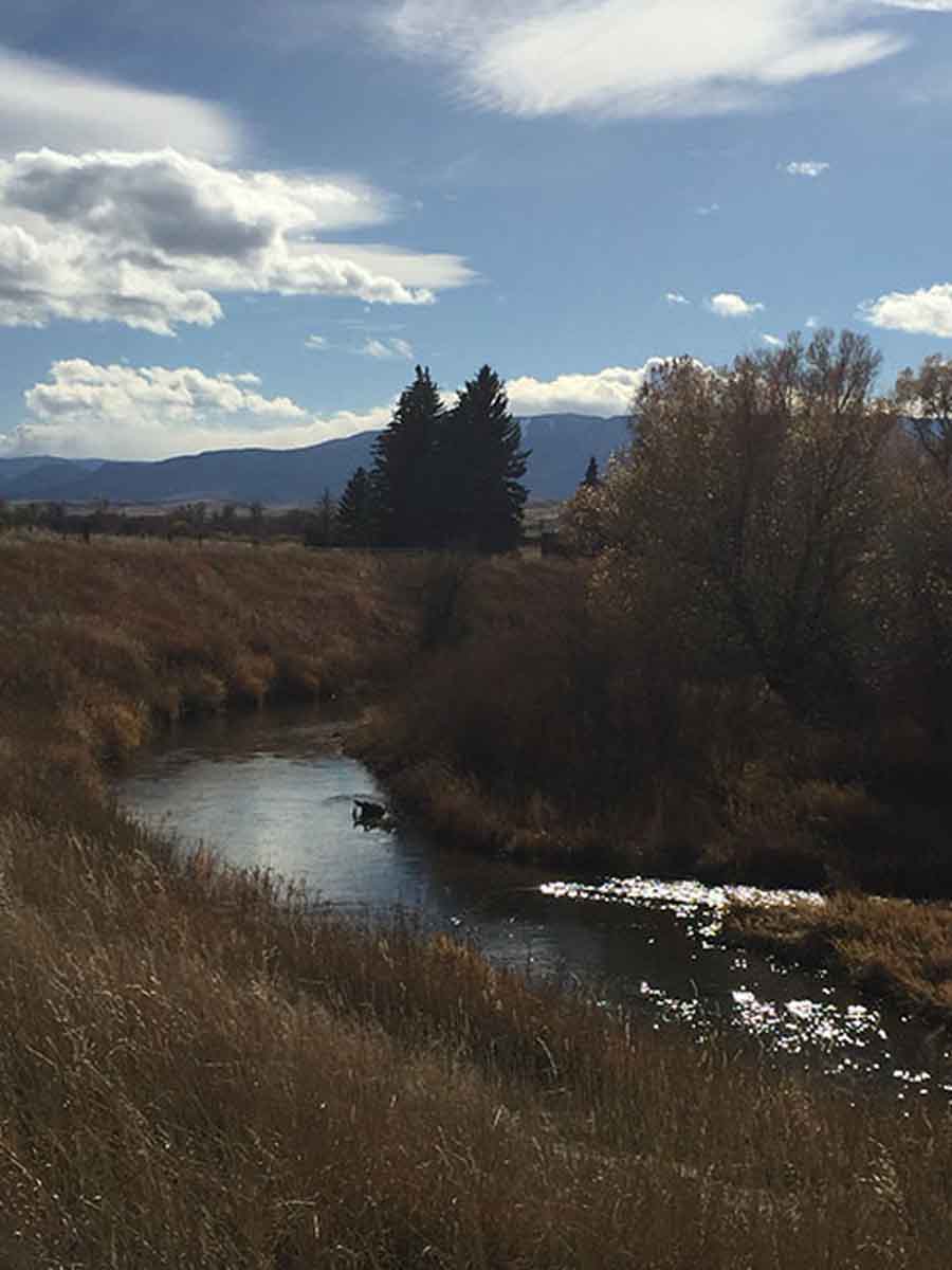 Lazy L Creek Ranch property picture 2 of 22