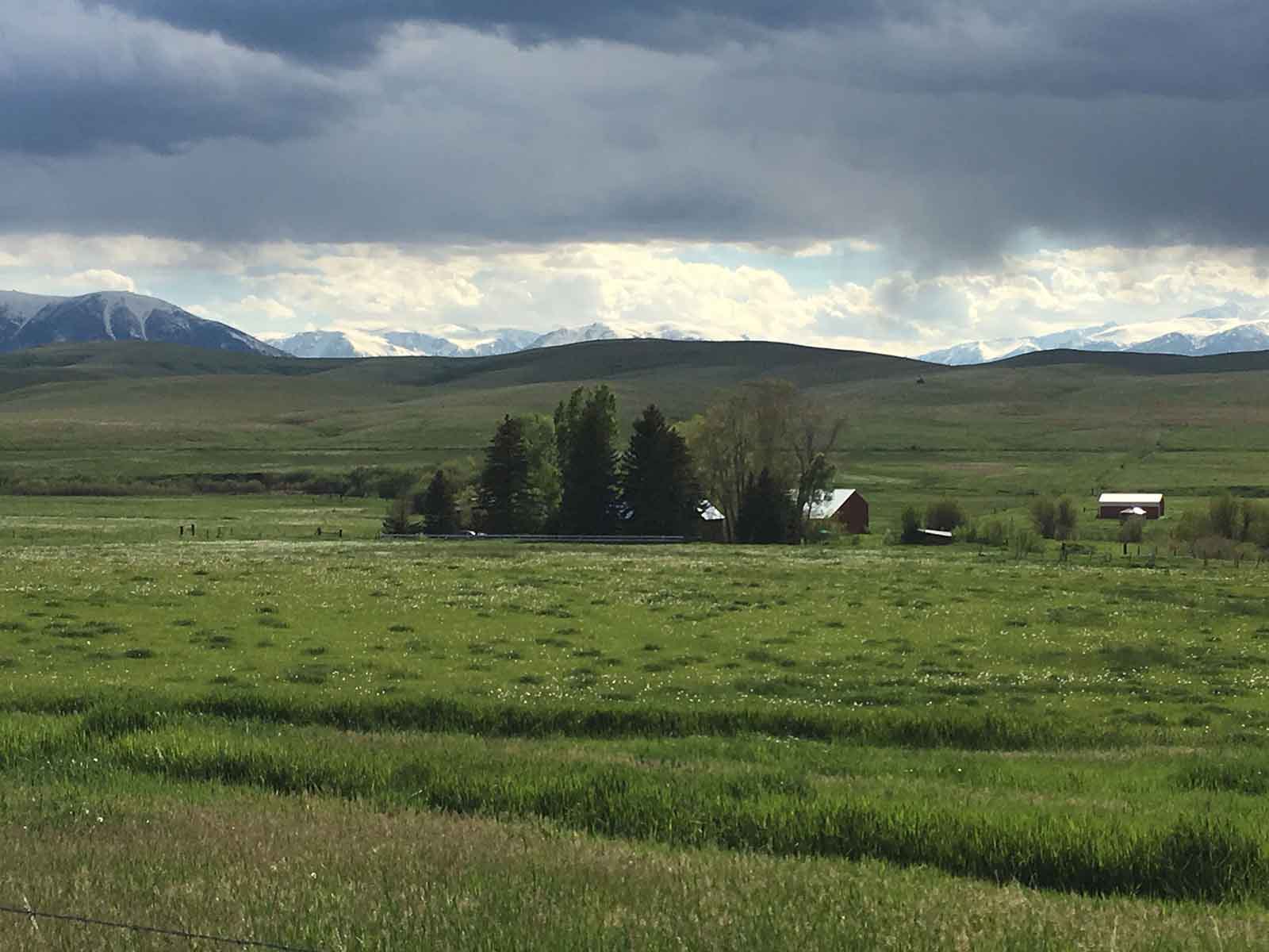 Lazy L Creek Ranch property picture 13 of 22