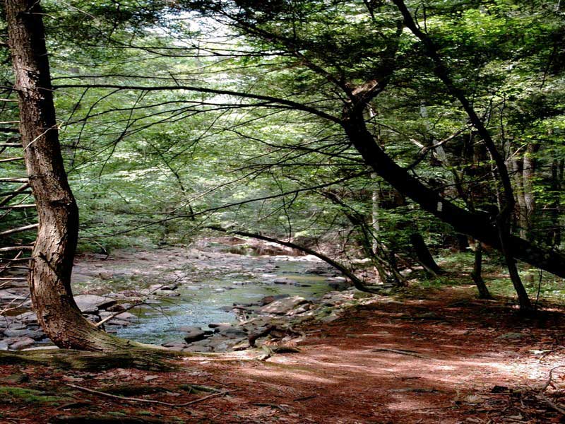 Coolfont property picture 31 of 36