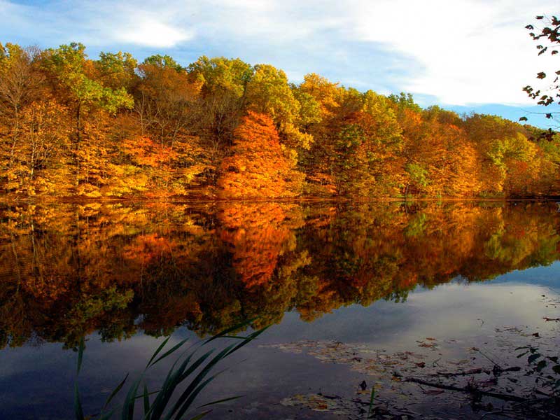 Coolfont property picture 30 of 36