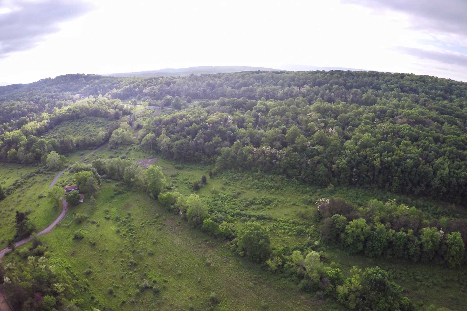 Coolfont property picture 7 of 36