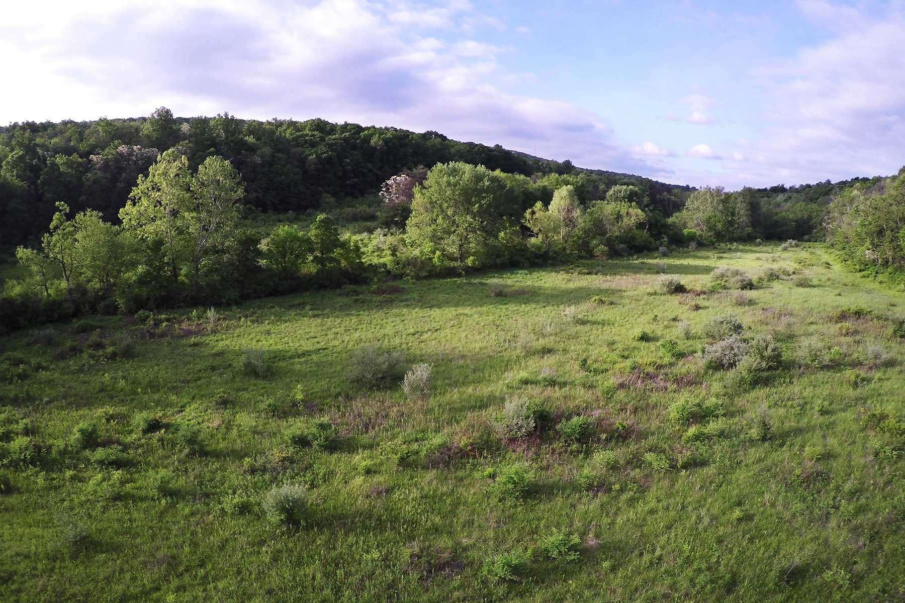 Coolfont property picture 25 of 36