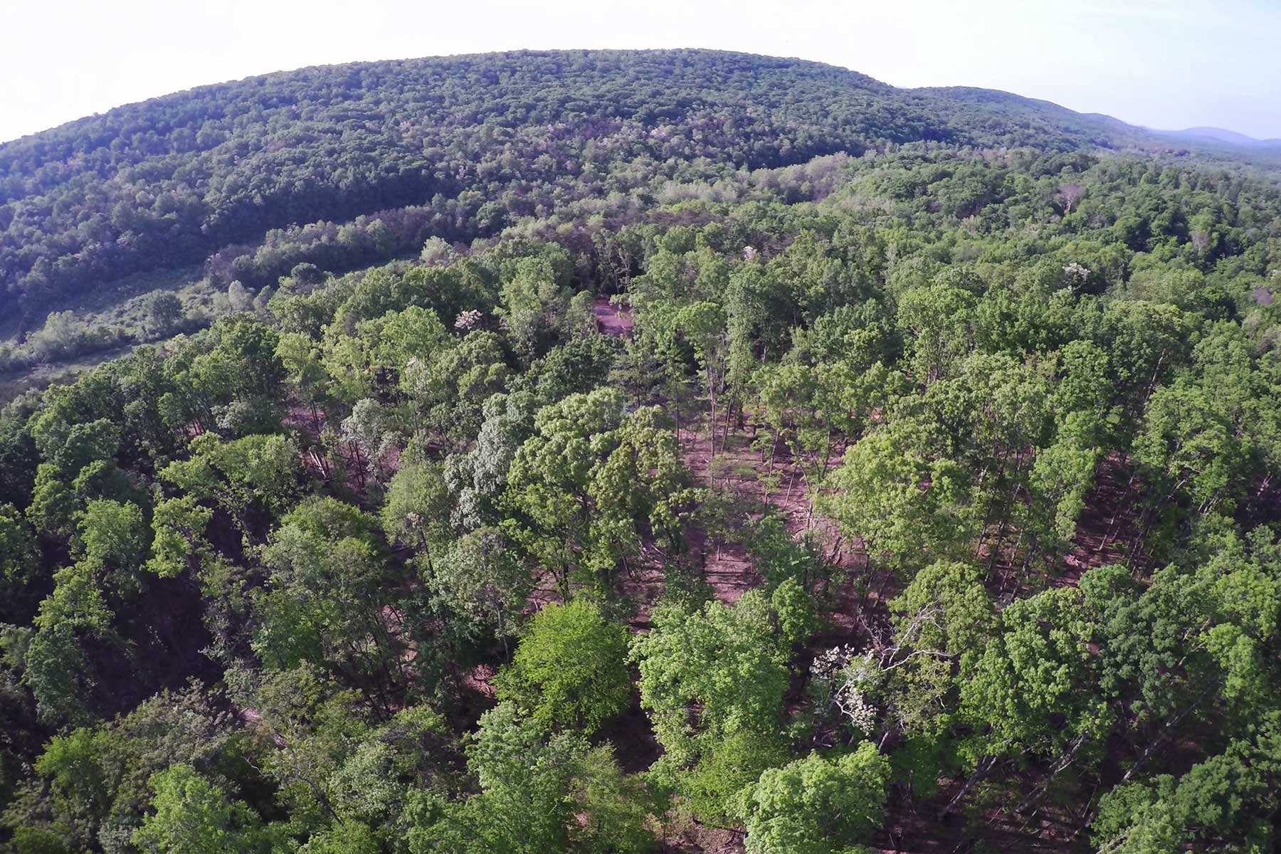 Coolfont property picture 8 of 36