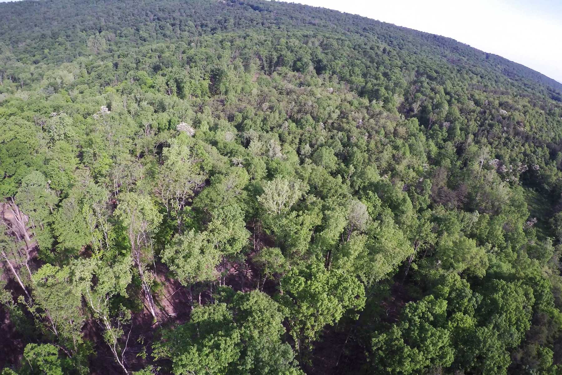 Coolfont property picture 12 of 36