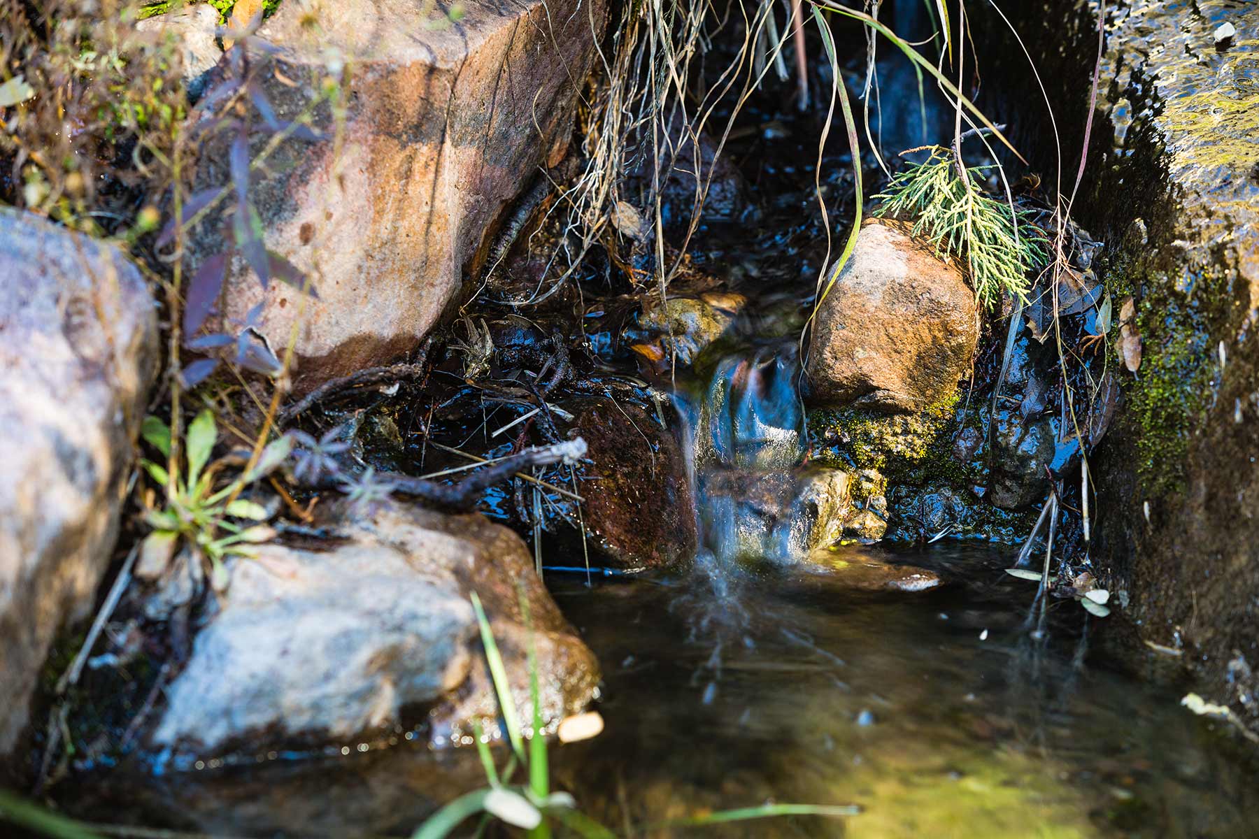 Livermore Ranch ~ Last of the Great Places property picture 80 of 81