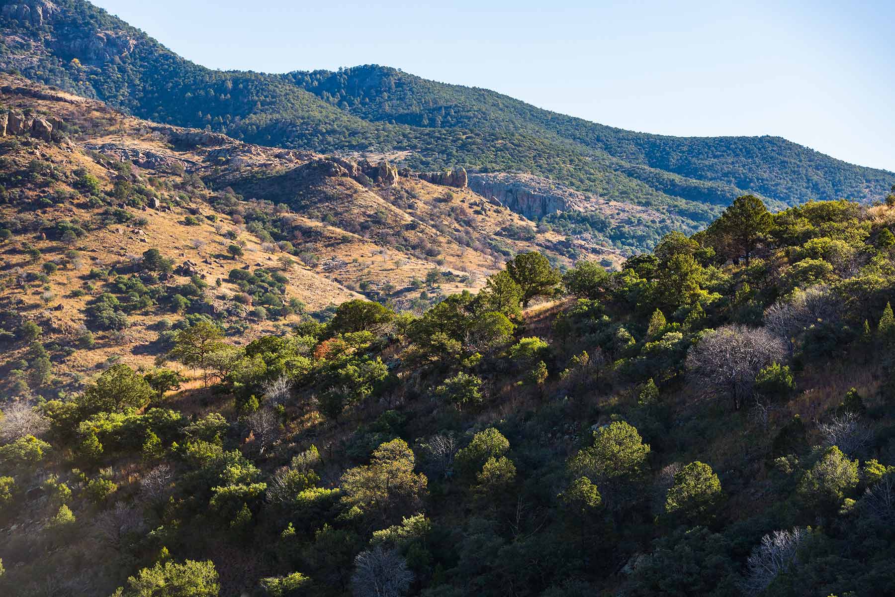 Livermore Ranch ~ Last of the Great Places property picture 54 of 81