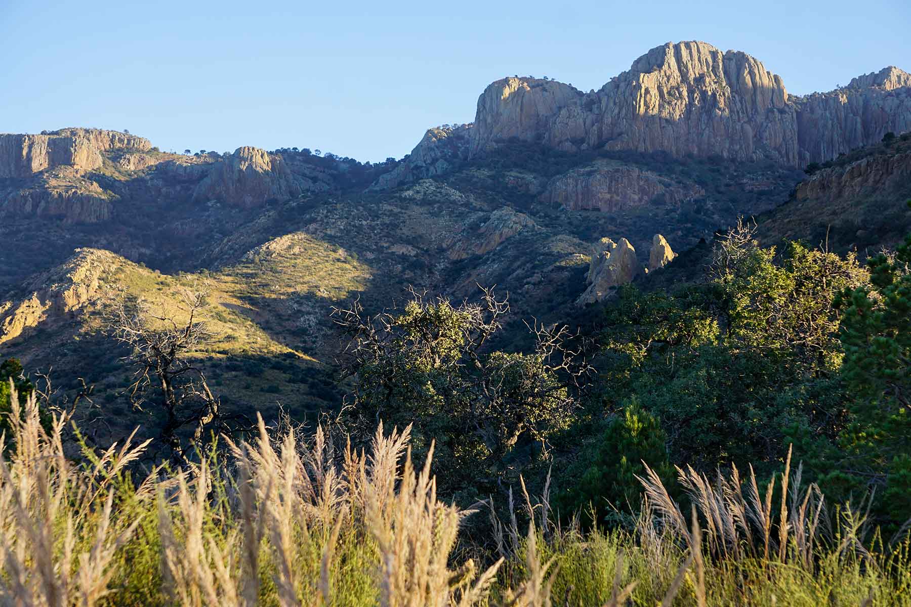 Livermore Ranch ~ Last of the Great Places property picture 7 of 81