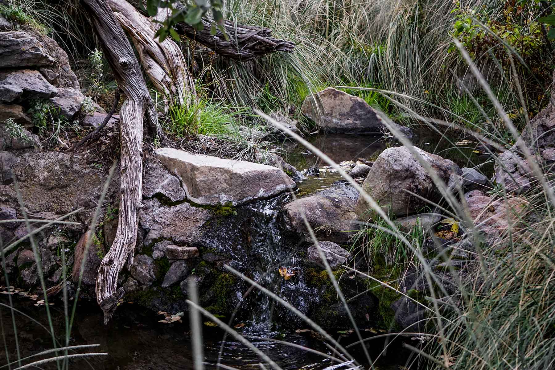 Livermore Ranch ~ Last of the Great Places property picture 20 of 81
