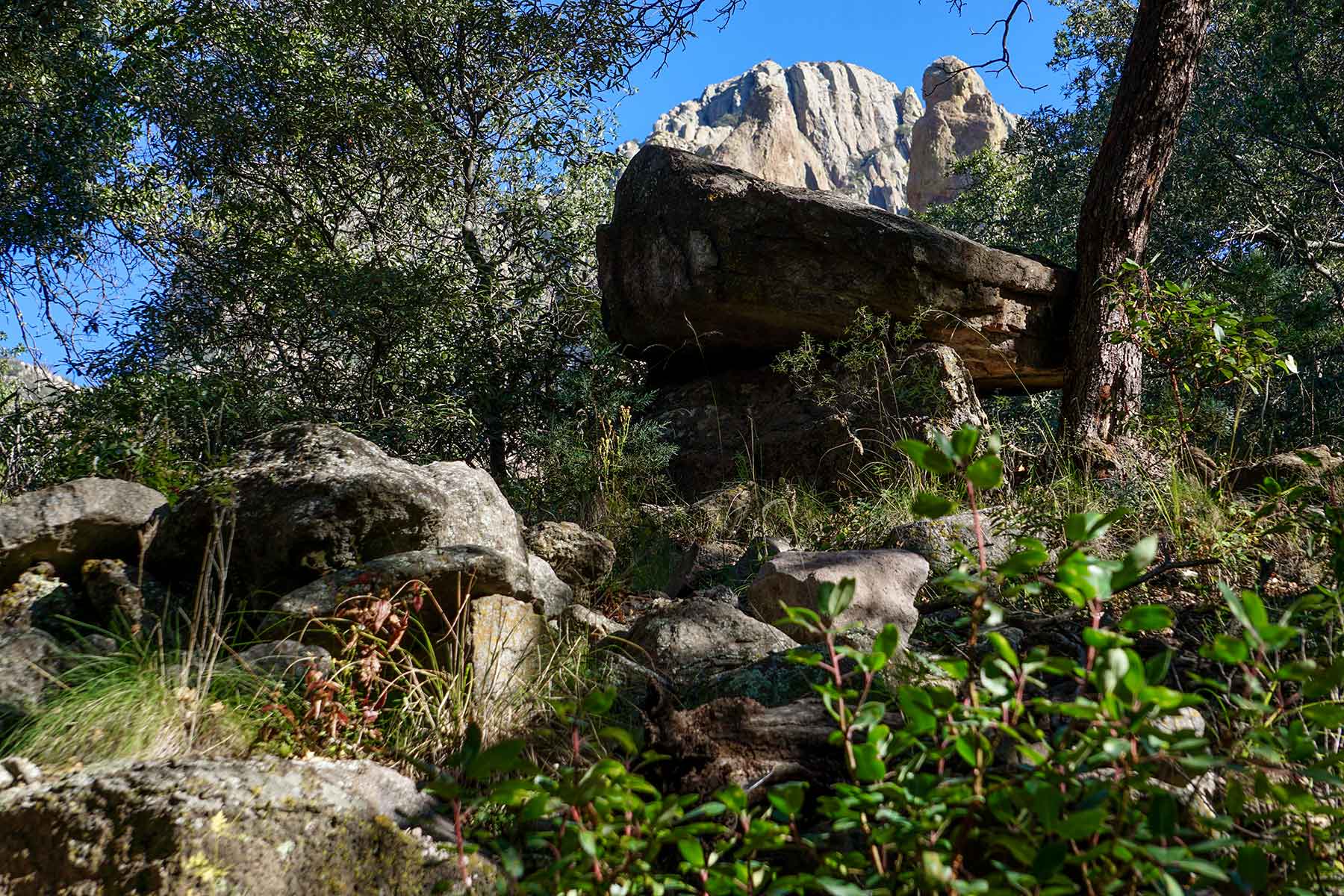 Livermore Ranch ~ Last of the Great Places property picture 40 of 81