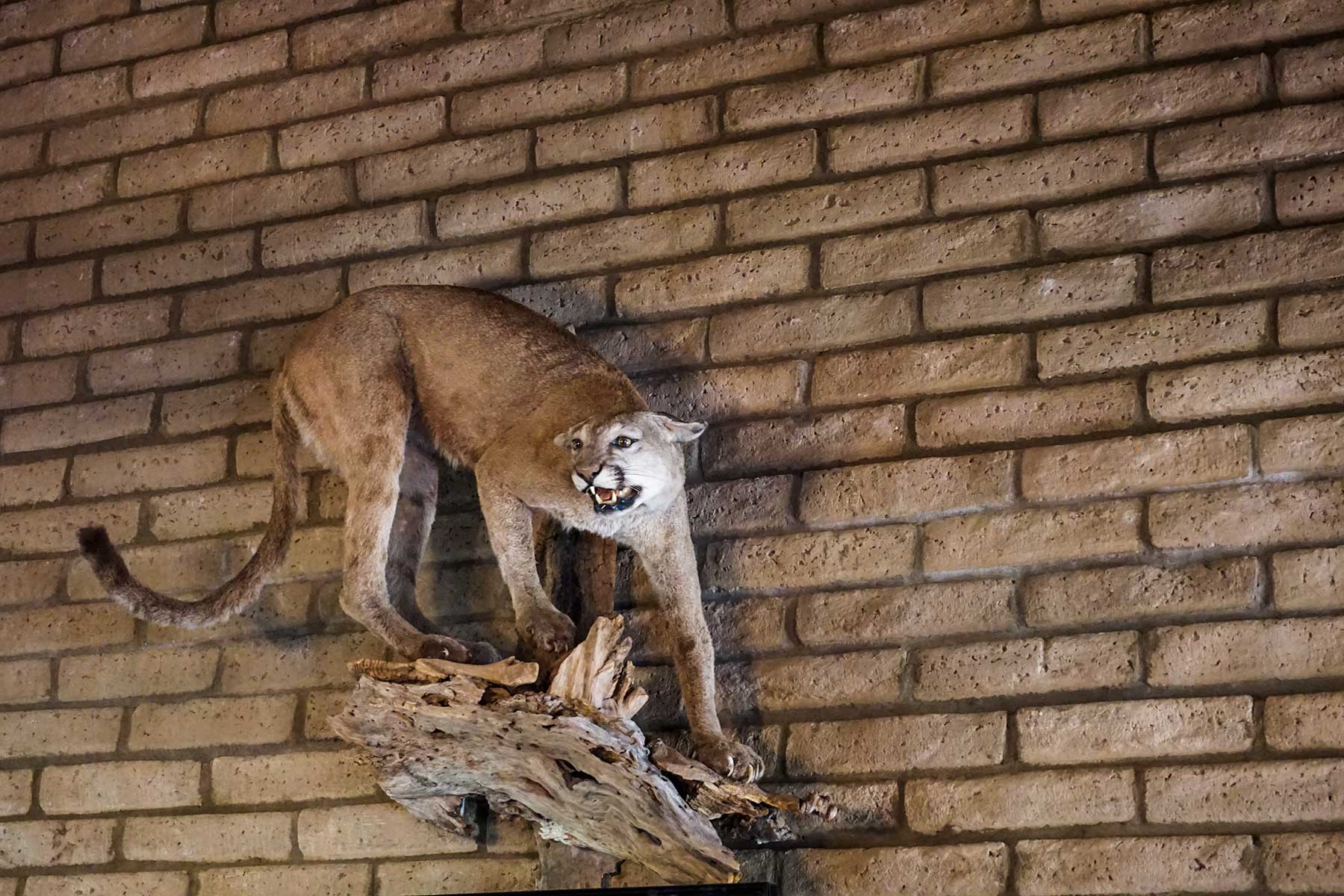 Livermore Ranch ~ Last of the Great Places property picture 21 of 81