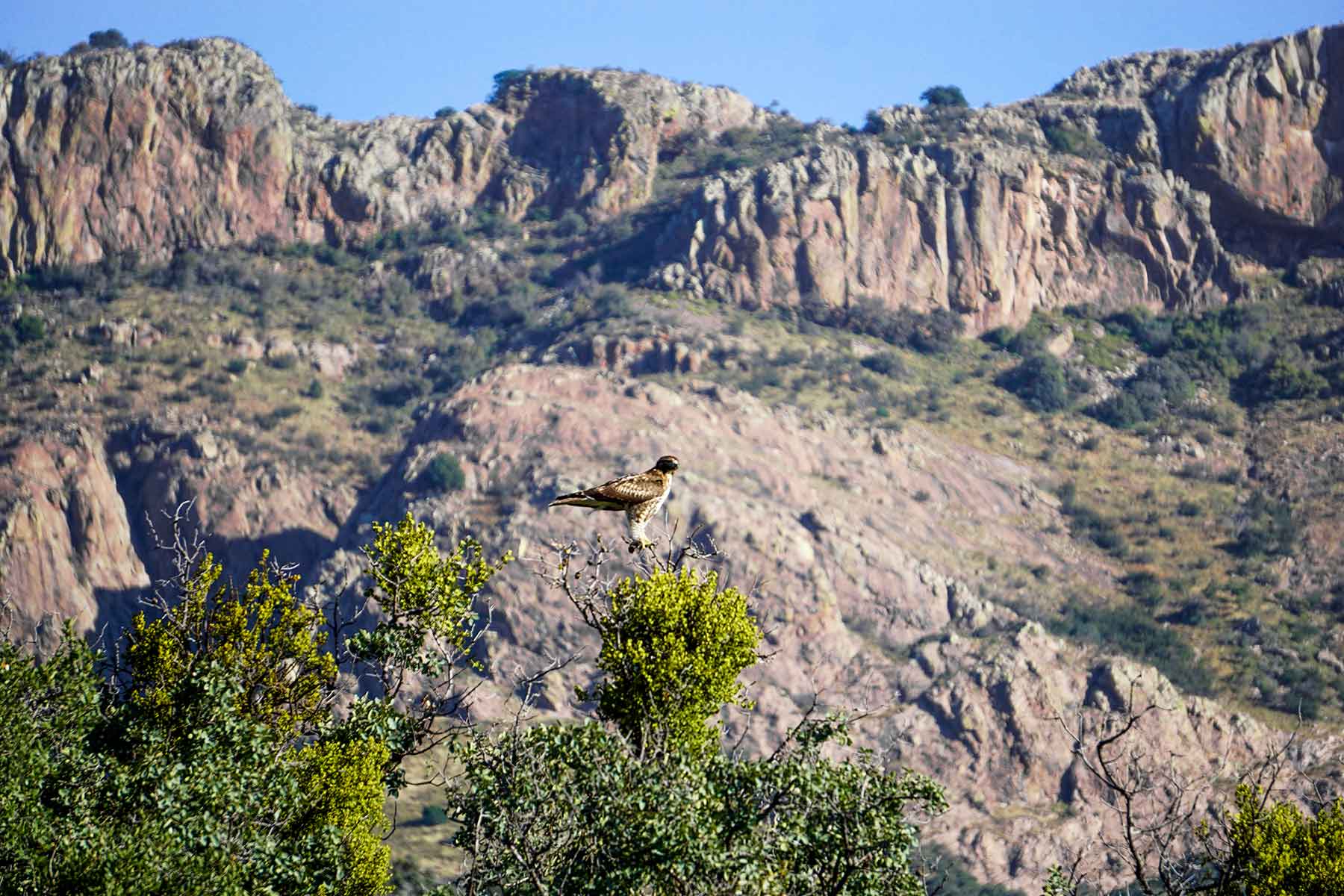 Livermore Ranch ~ Last of the Great Places property picture 27 of 81