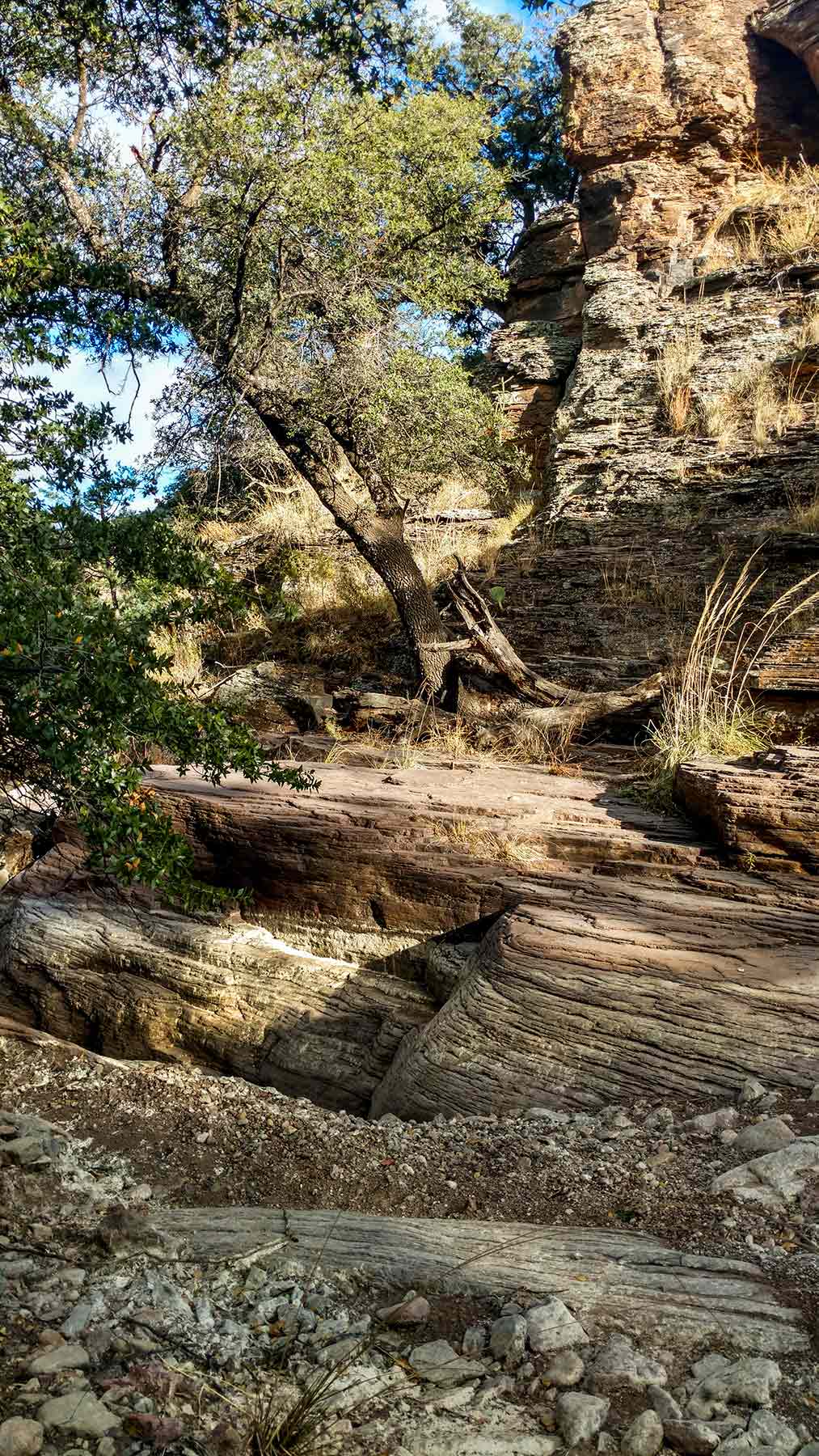Livermore Ranch ~ Last of the Great Places property picture 6 of 81