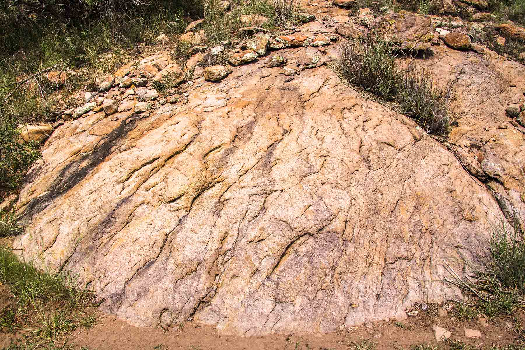 Livermore Ranch ~ Last of the Great Places property picture 52 of 81