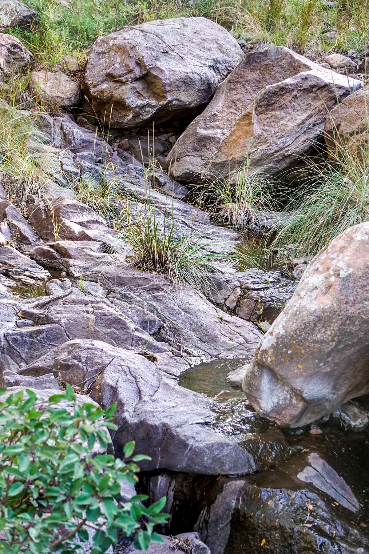Livermore Ranch ~ Last of the Great Places property picture 53 of 81