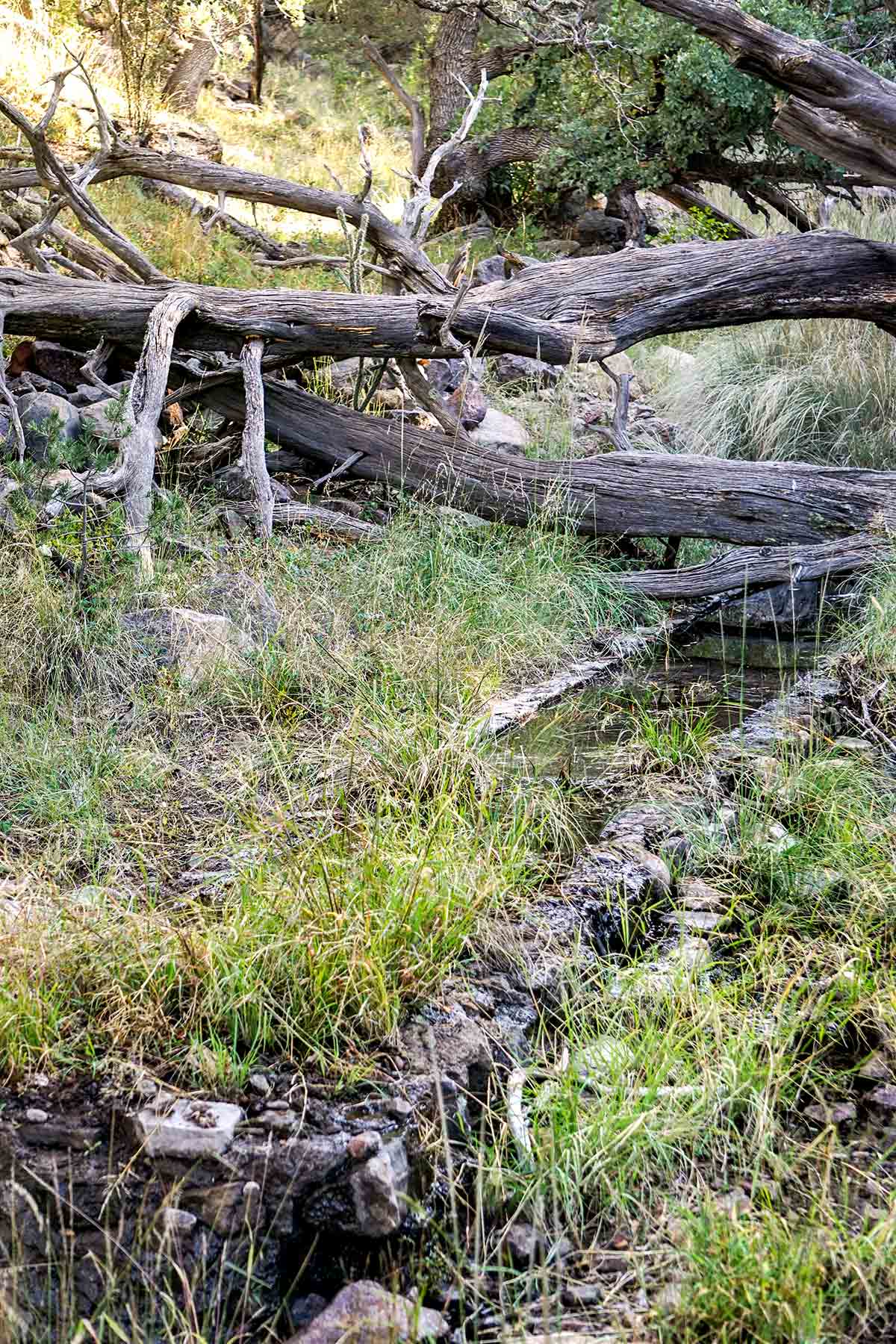 Livermore Ranch ~ Last of the Great Places property picture 55 of 81