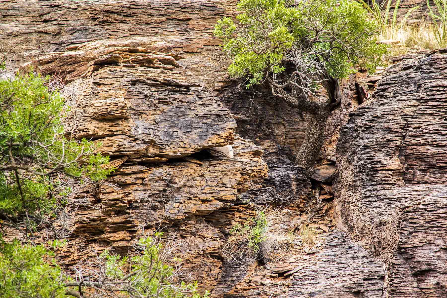 Livermore Ranch ~ Last of the Great Places property picture 63 of 81
