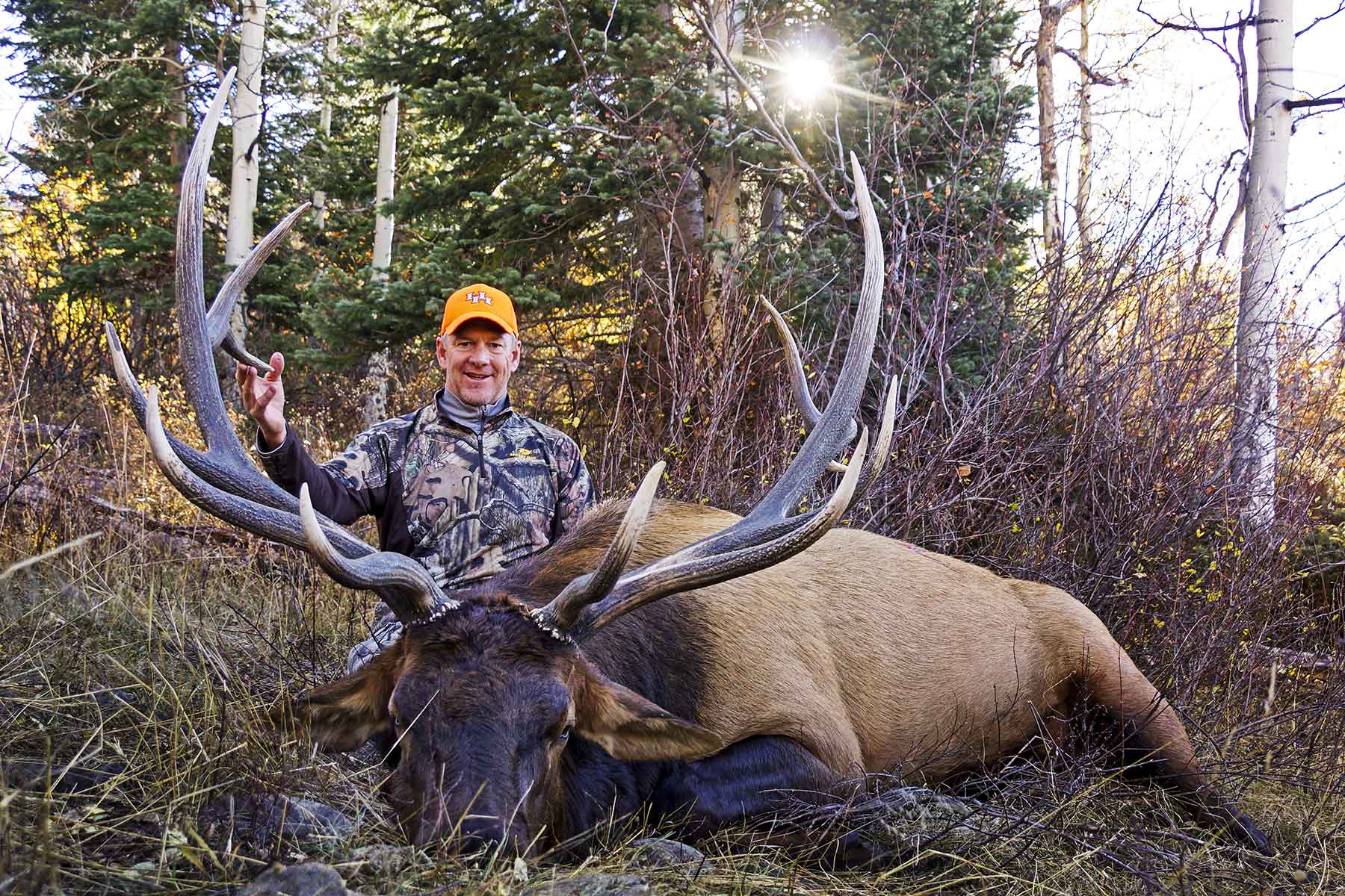 Woodchuck Mountain Ranch property picture 2 of 68