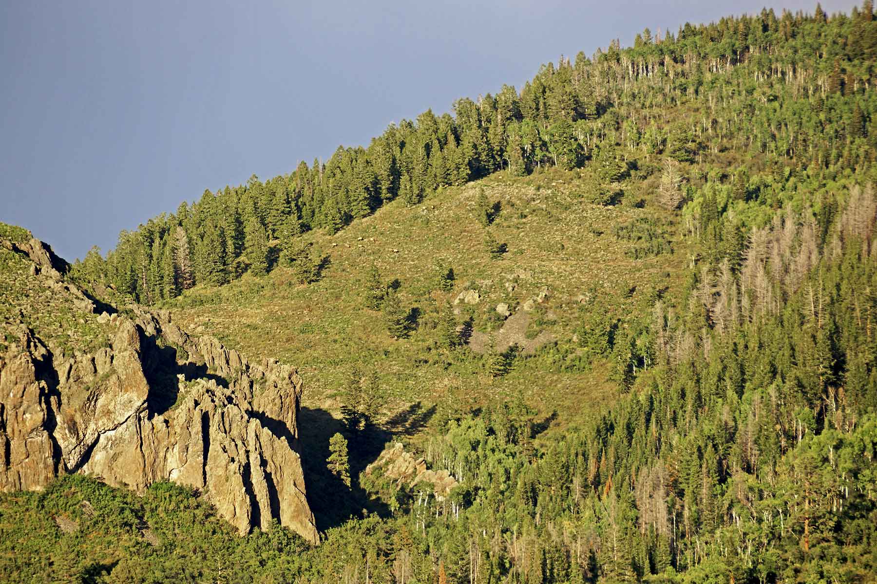 Woodchuck Mountain Ranch property picture 41 of 68