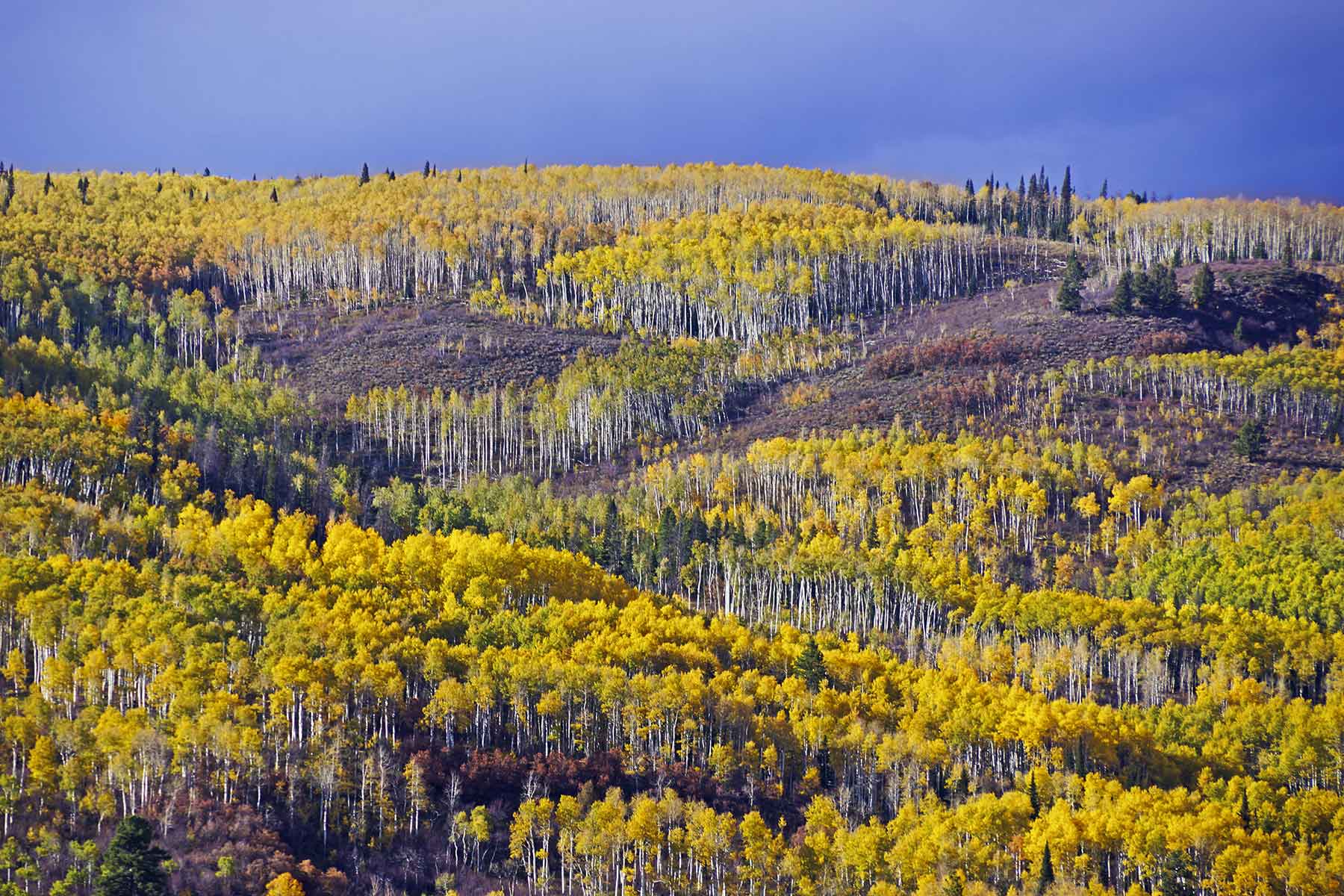 Woodchuck Mountain Ranch property picture 32 of 68