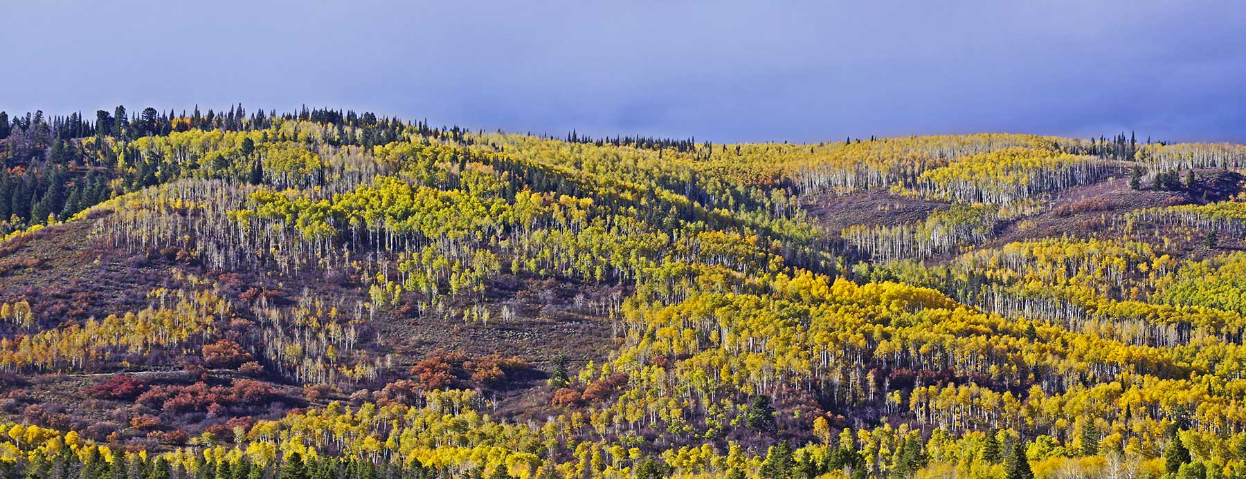 Woodchuck Mountain Ranch property picture 47 of 68