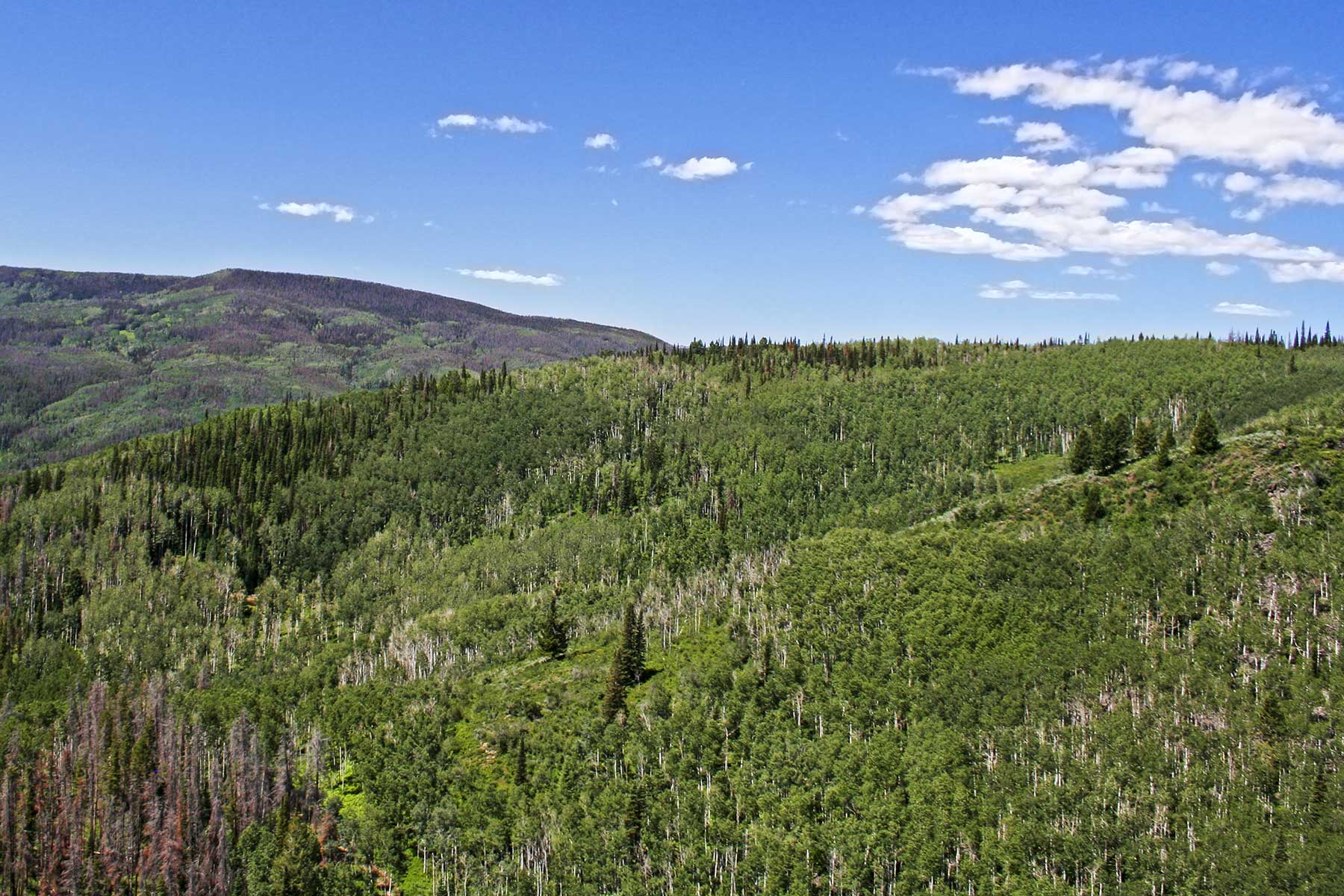 Woodchuck Mountain Ranch property picture 56 of 68