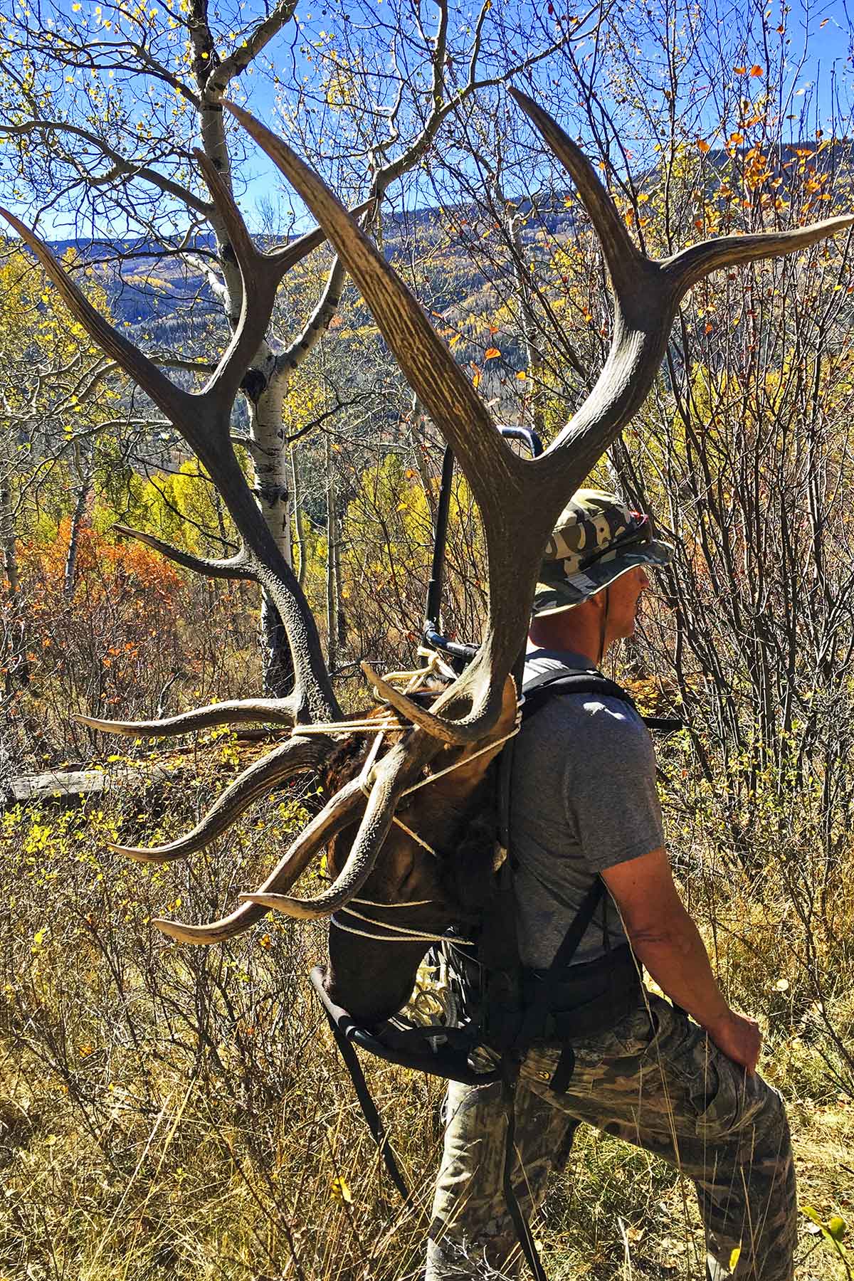 Woodchuck Mountain Ranch property picture 13 of 68