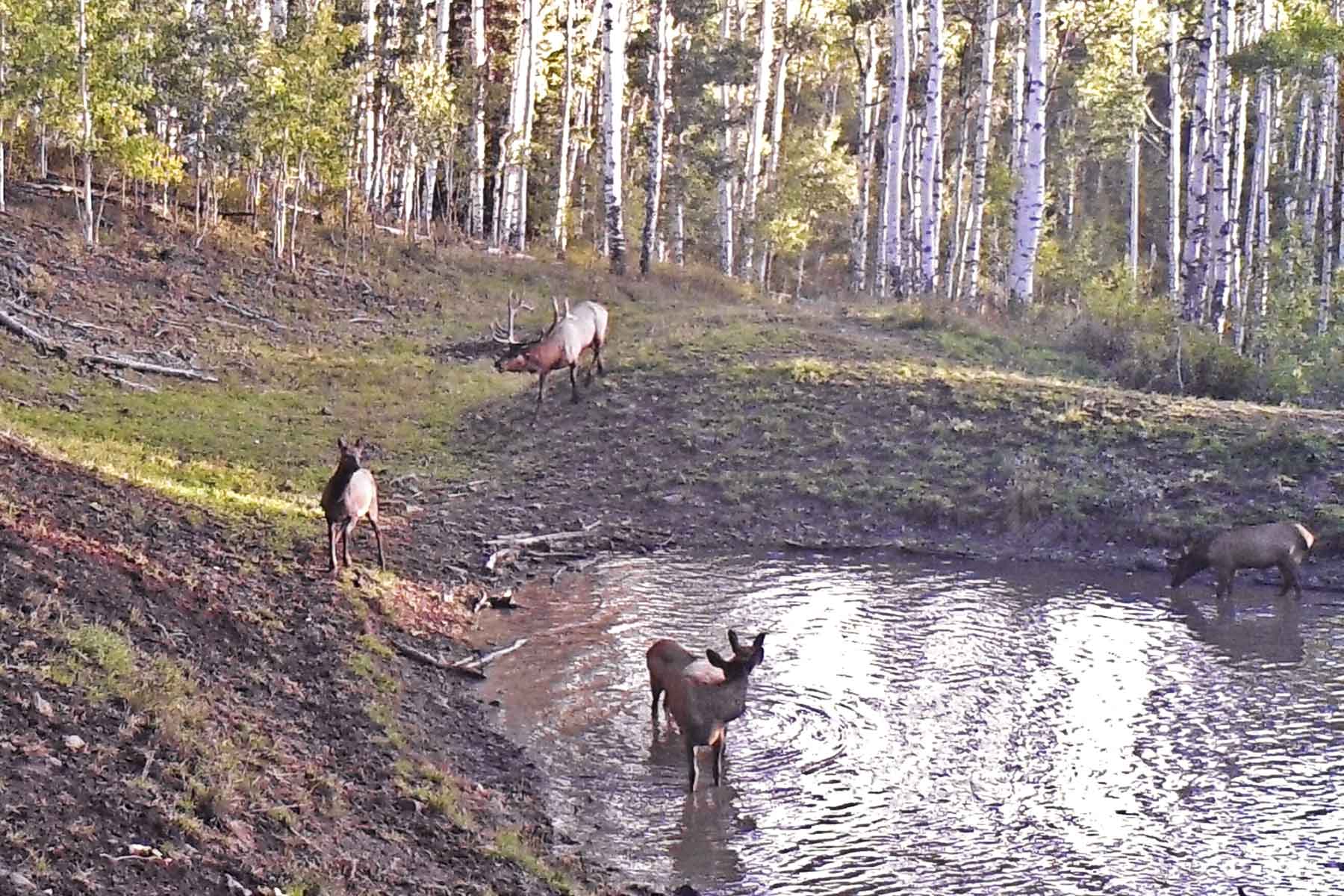 Woodchuck Mountain Ranch property picture 38 of 68