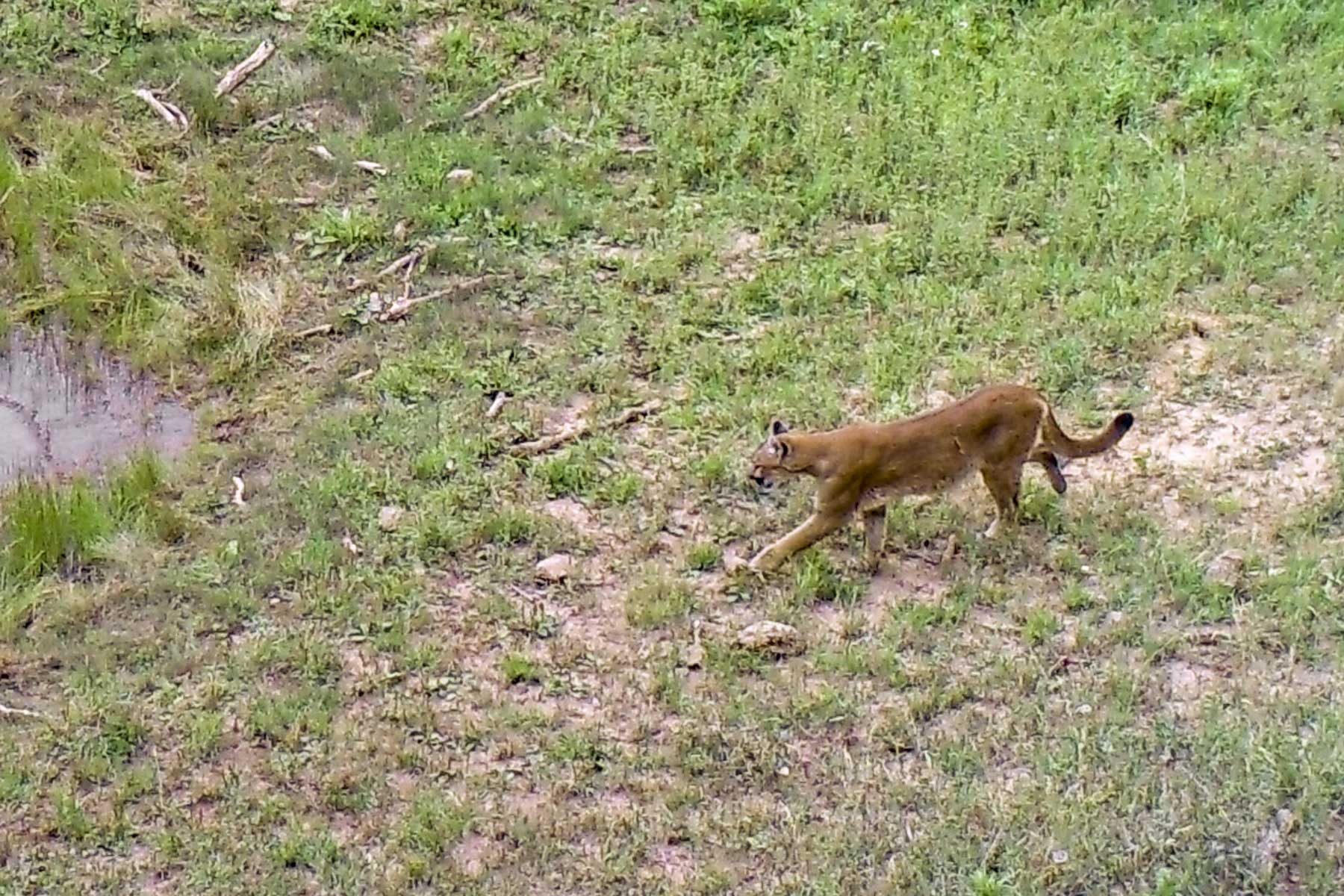 Woodchuck Mountain Ranch property picture 66 of 68