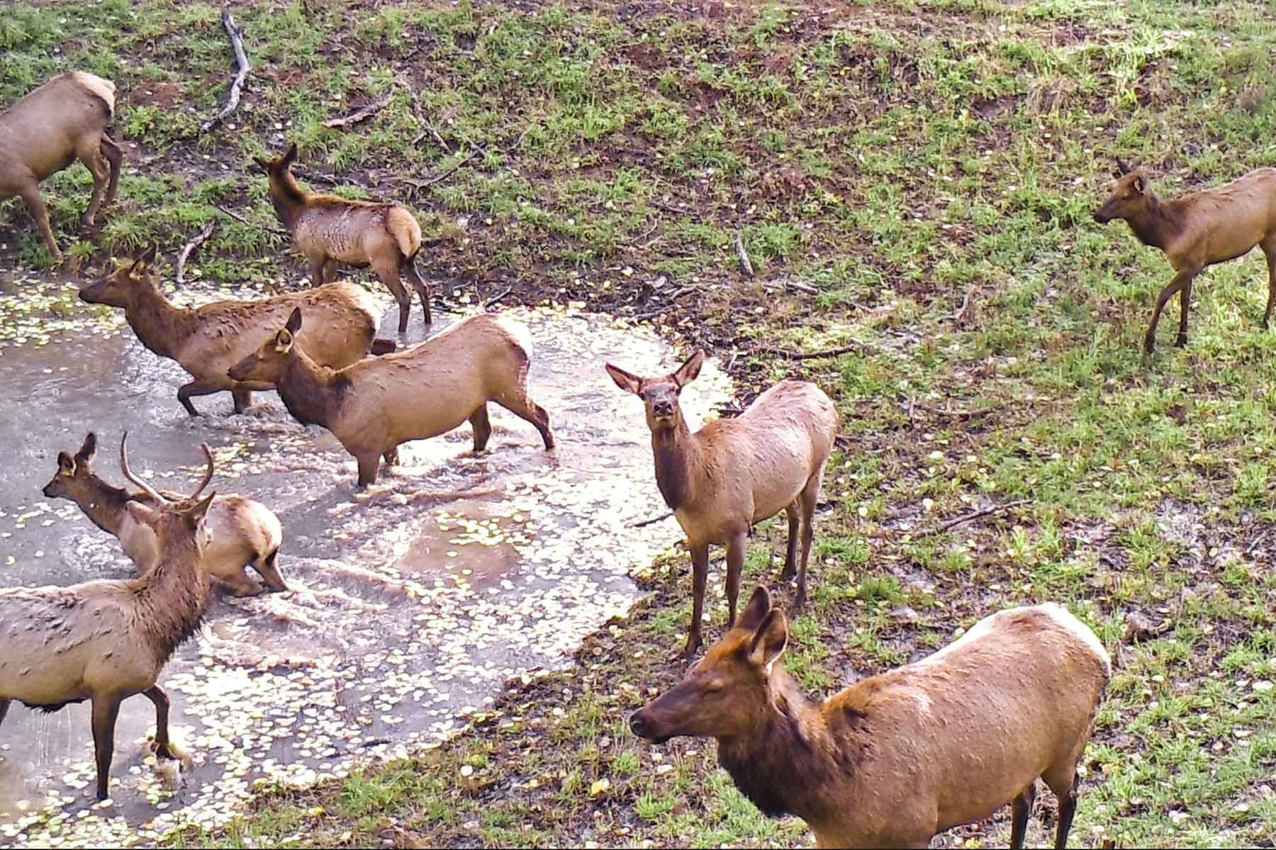Woodchuck Mountain Ranch property picture 64 of 68