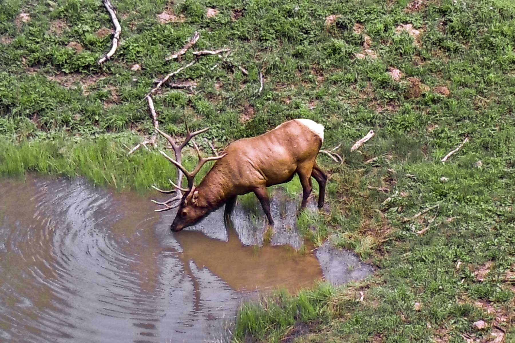 Woodchuck Mountain Ranch property picture 23 of 68