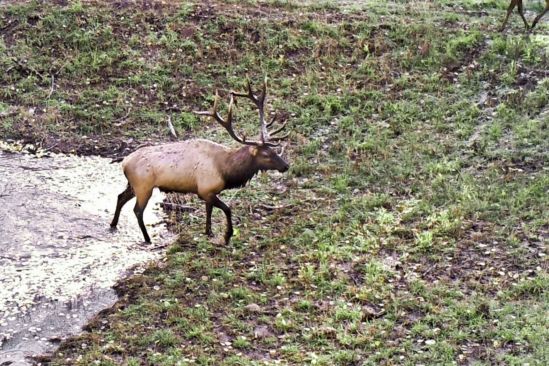 Woodchuck Mountain Ranch property picture 26 of 68