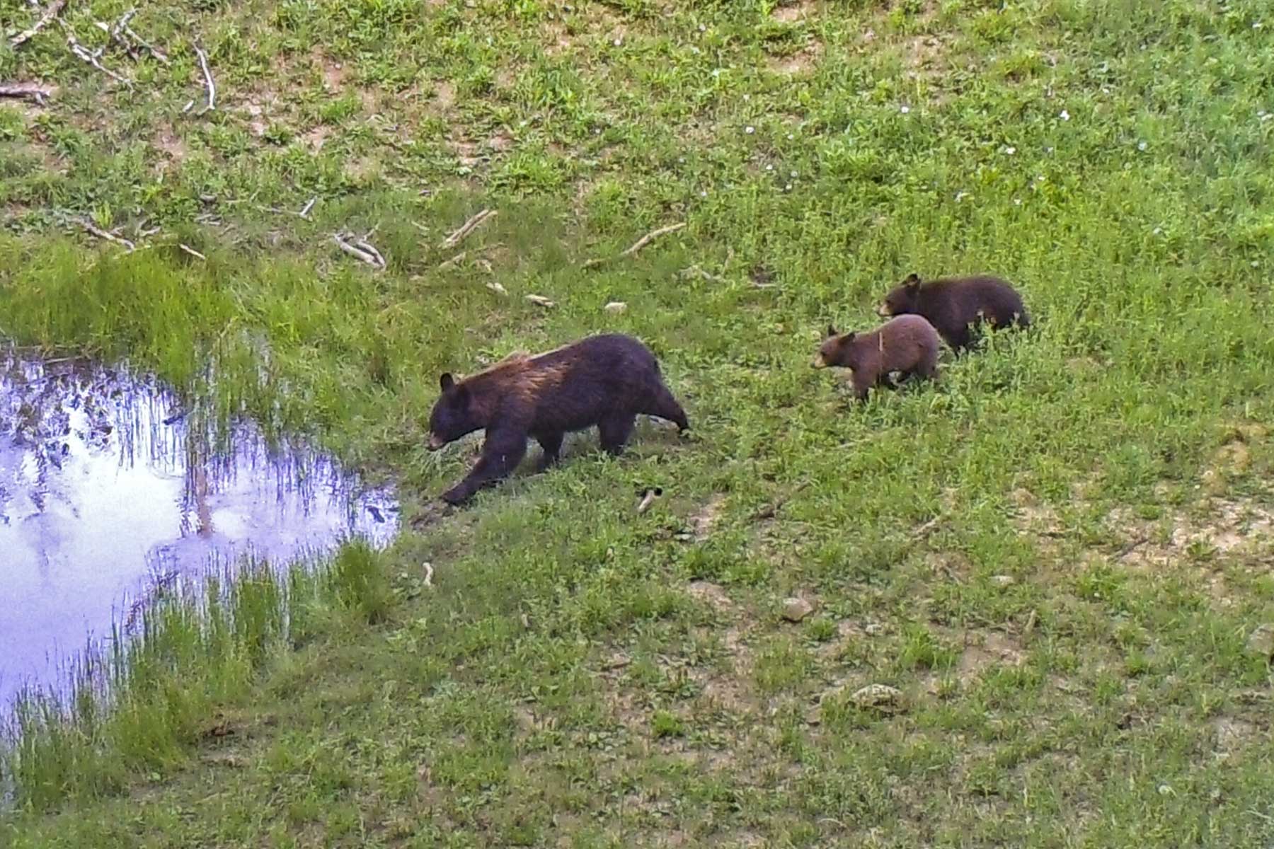 Woodchuck Mountain Ranch property picture 35 of 68