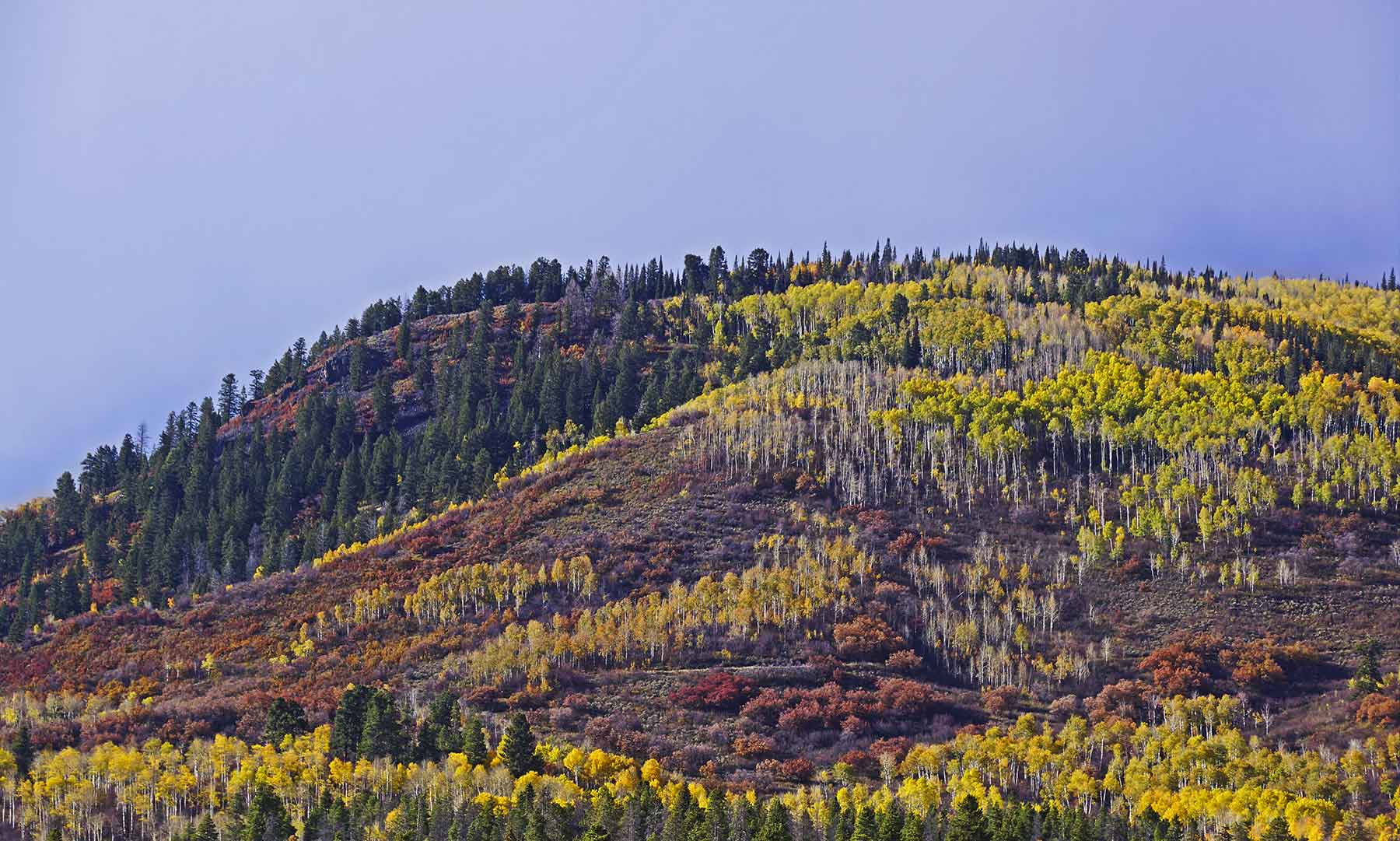 Woodchuck Mountain Ranch property picture 18 of 68