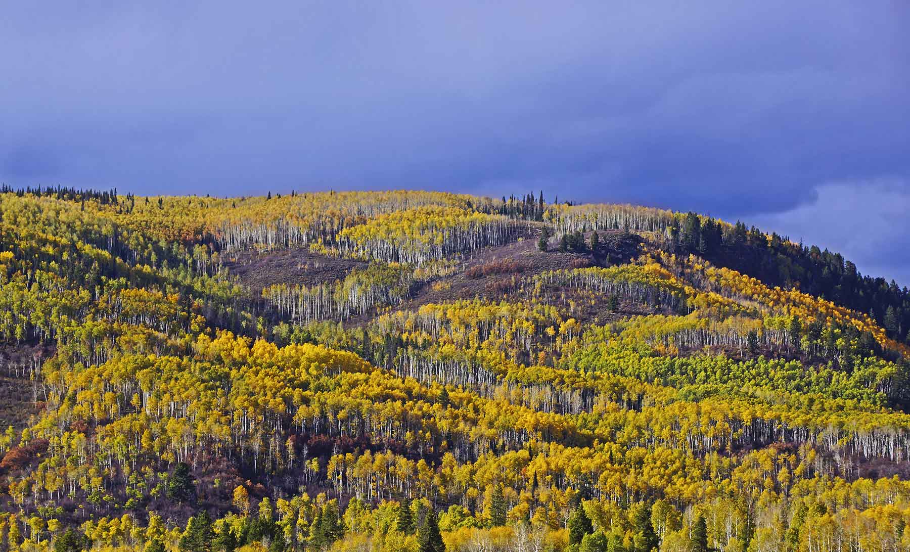 Woodchuck Mountain Ranch property picture 42 of 68