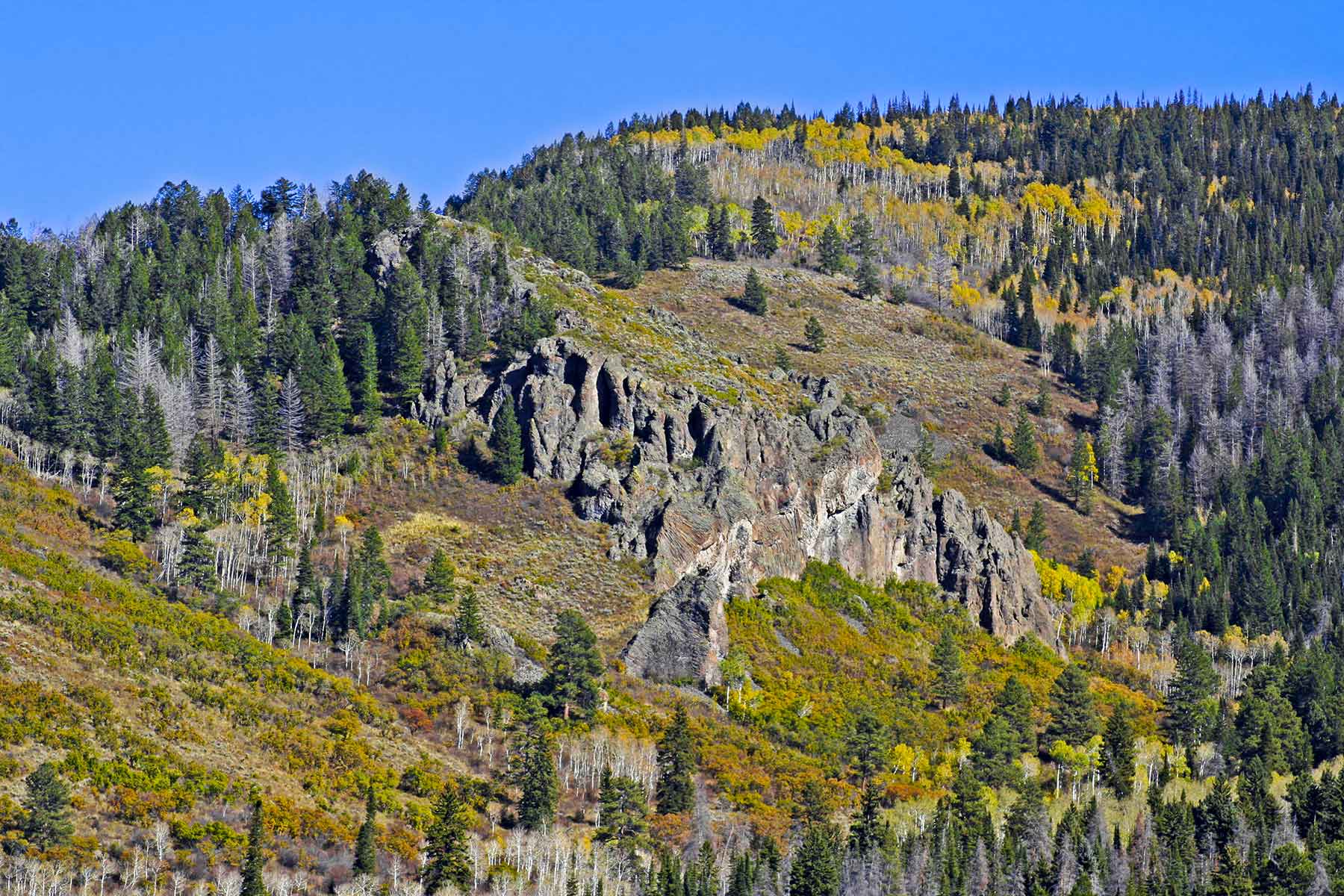 Woodchuck Mountain Ranch property picture 65 of 68