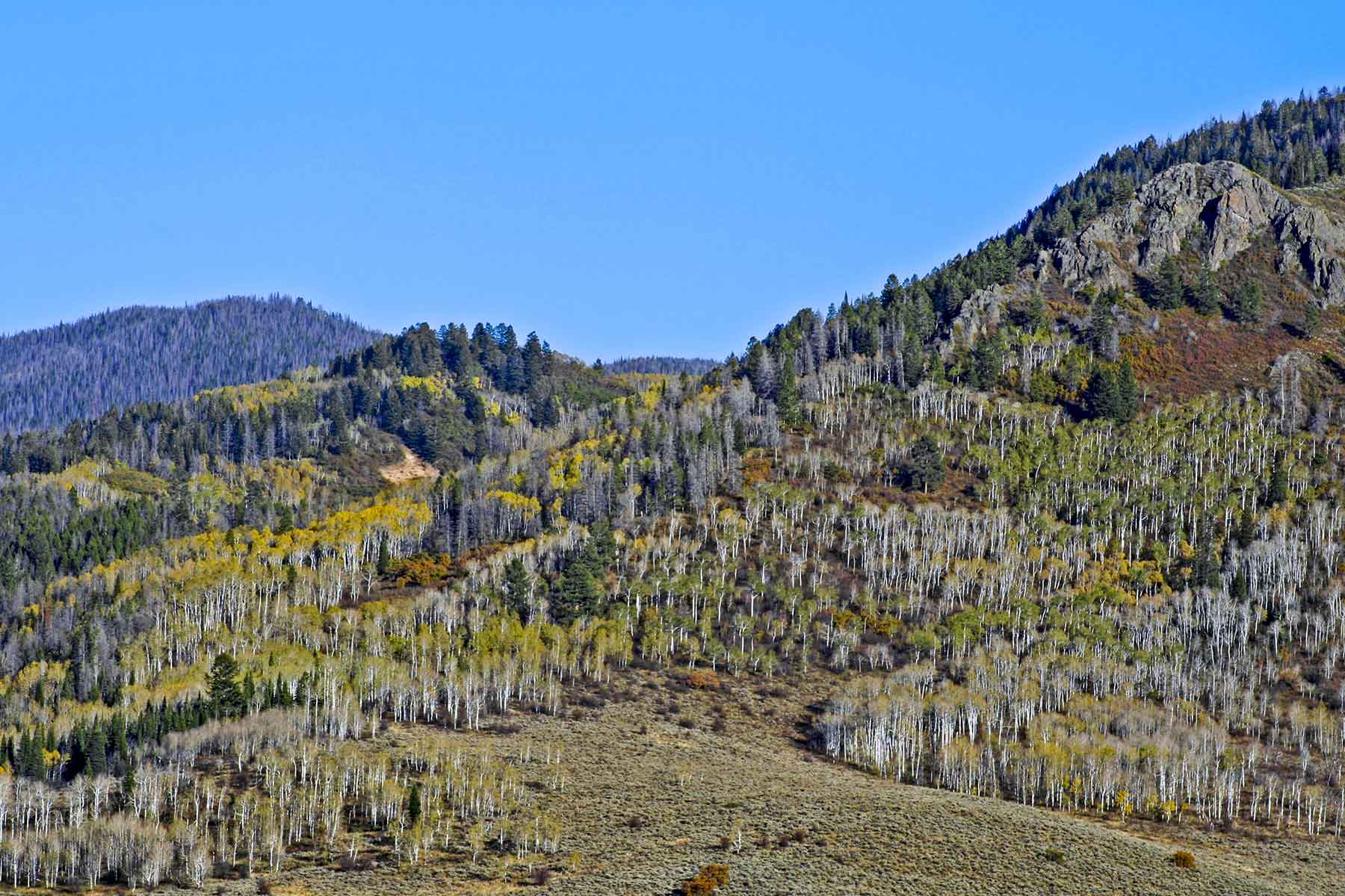 Woodchuck Mountain Ranch property picture 63 of 68