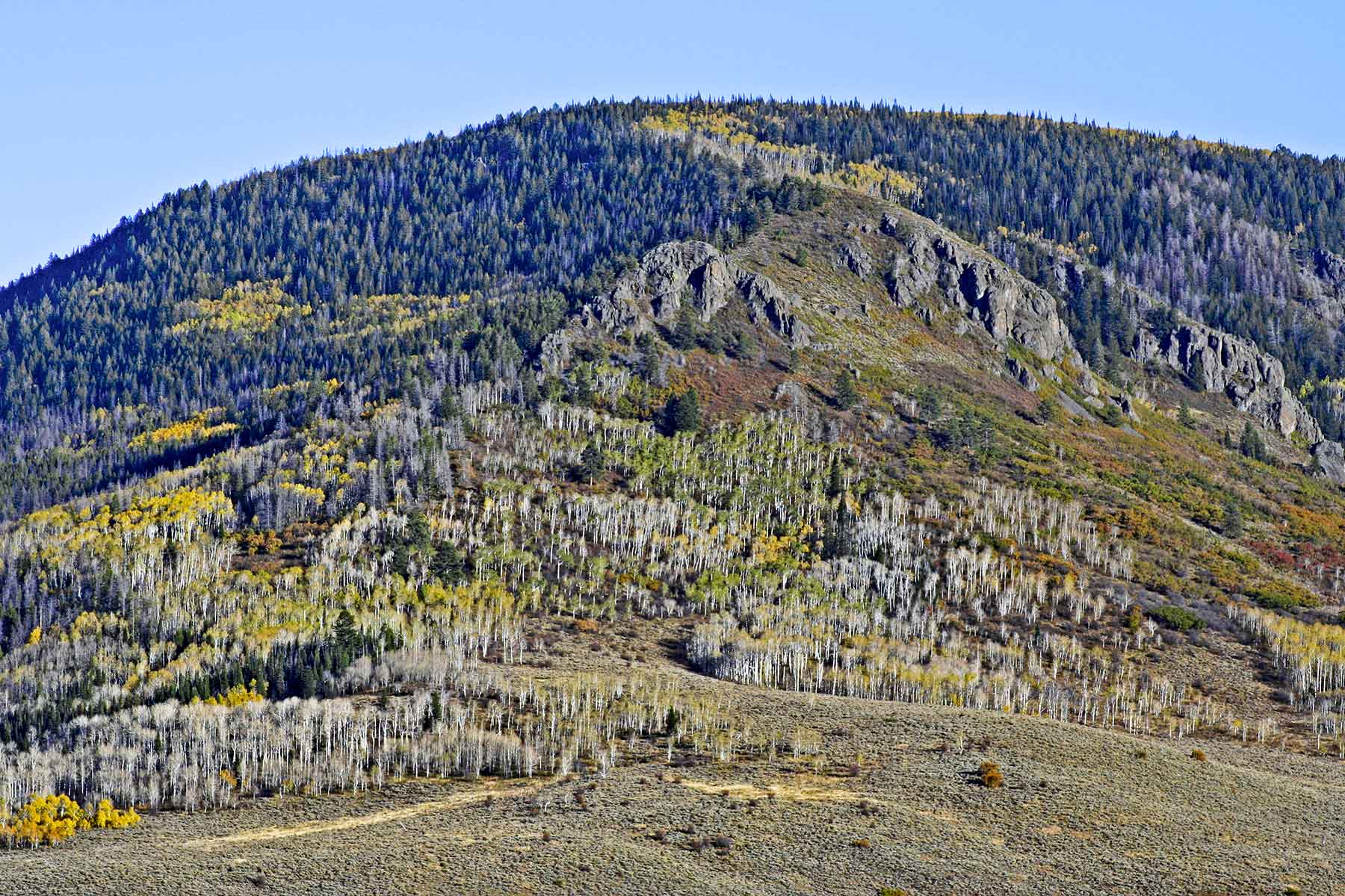 Woodchuck Mountain Ranch property picture 34 of 68