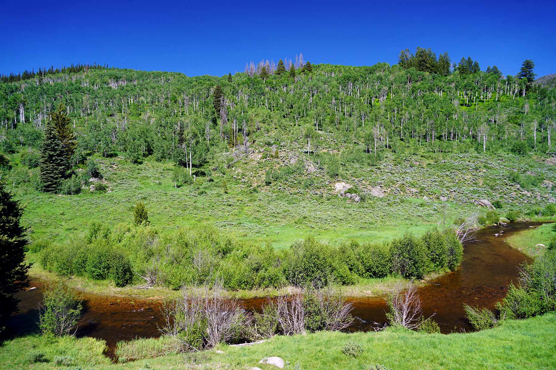 Woodchuck Mountain Ranch property picture 50 of 68