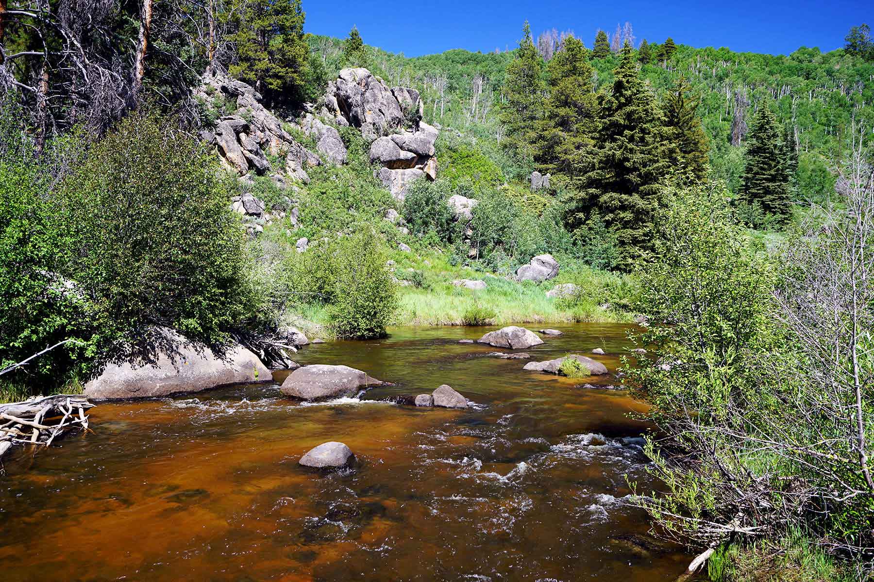 Woodchuck Mountain Ranch property picture 3 of 68