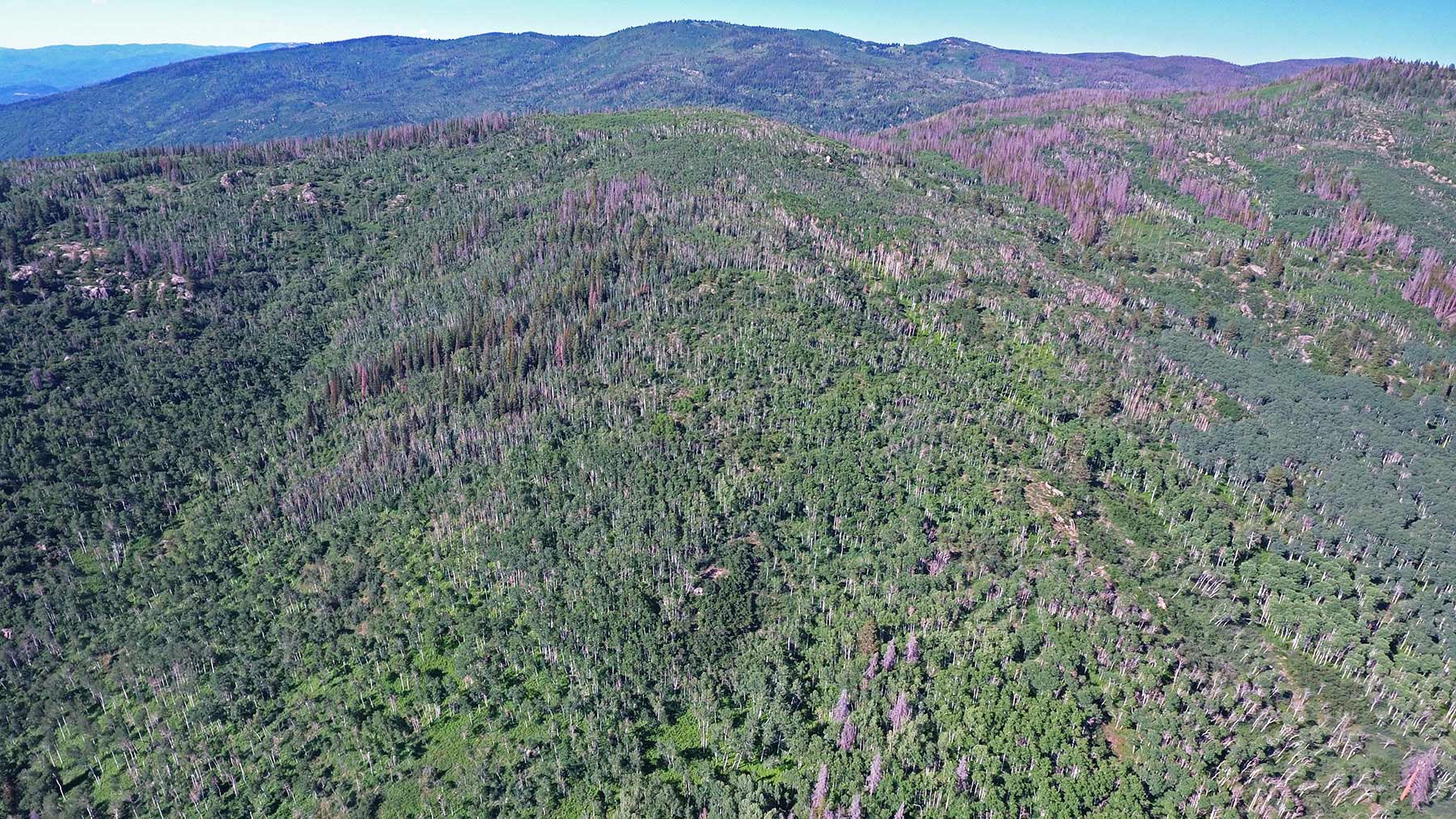 Woodchuck Mountain Ranch property picture 58 of 68