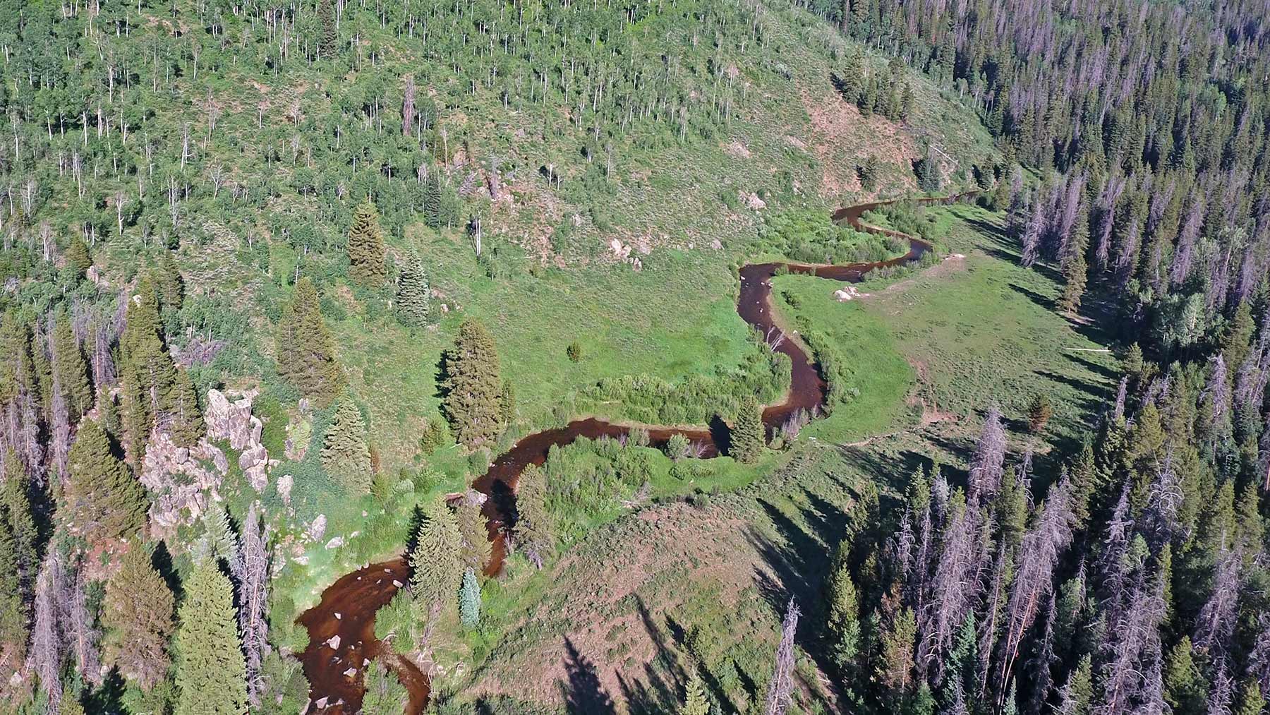 Woodchuck Mountain Ranch property picture 44 of 68