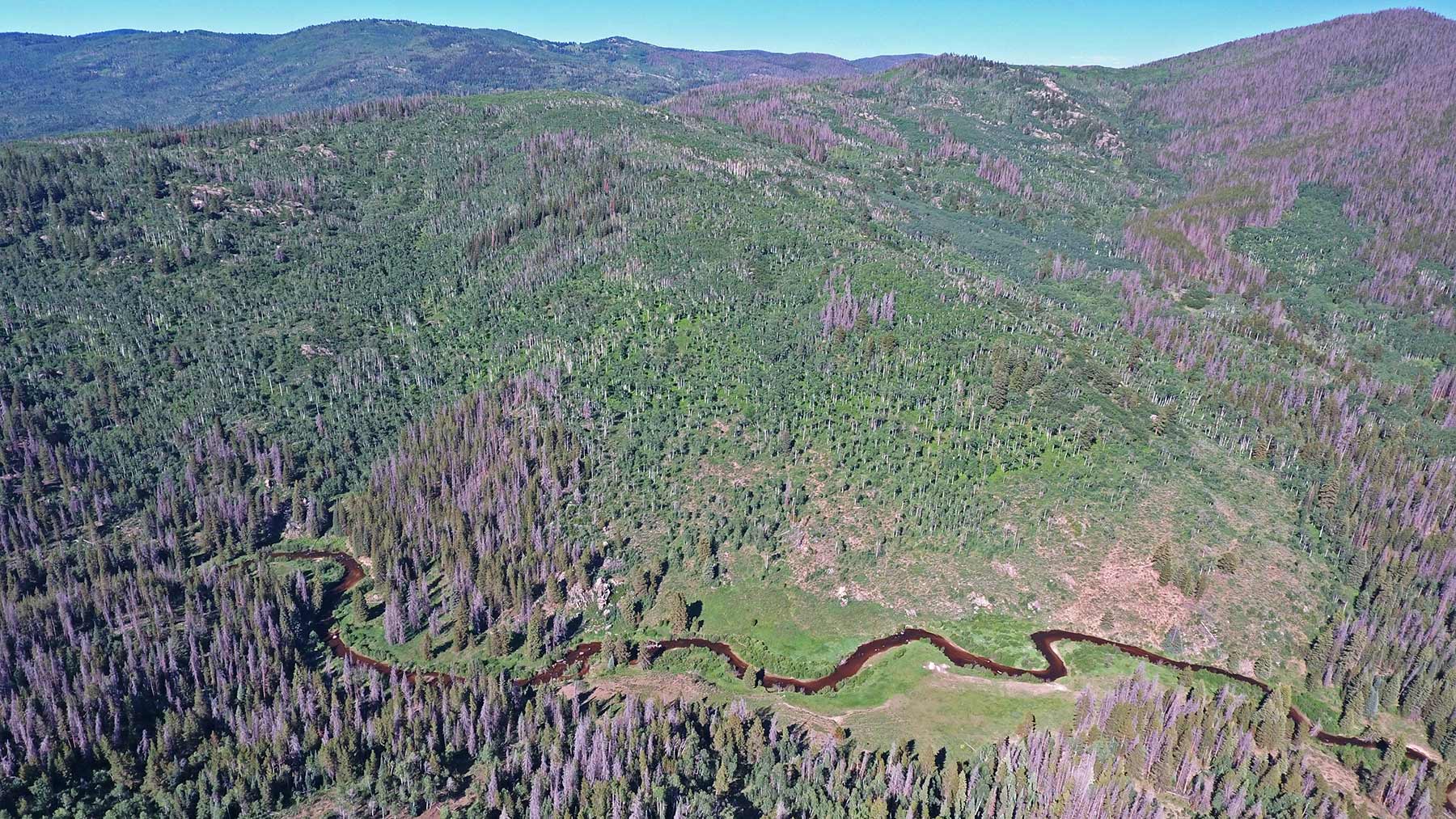 Woodchuck Mountain Ranch property picture 54 of 68