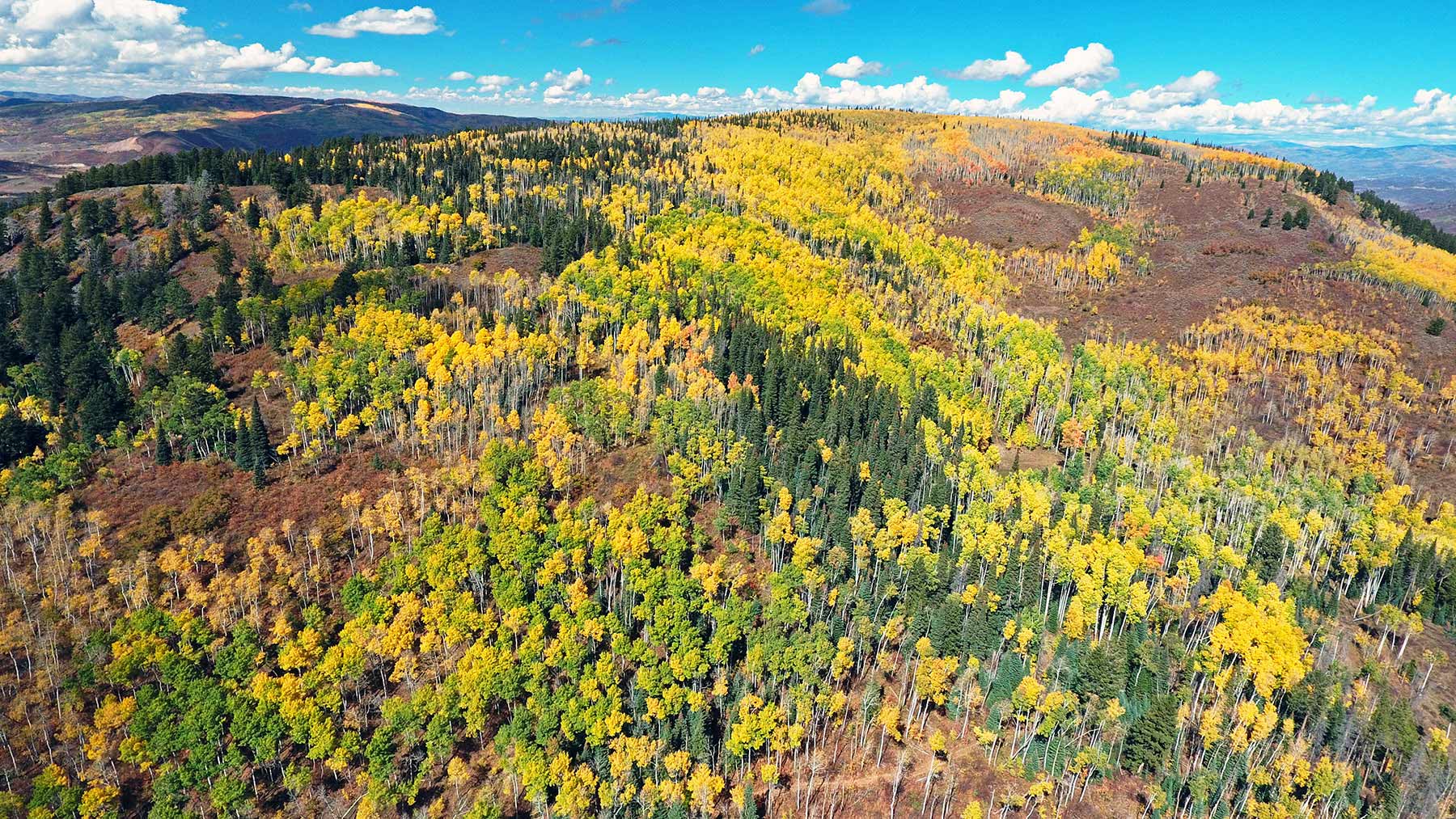 Woodchuck Mountain Ranch property picture 9 of 68