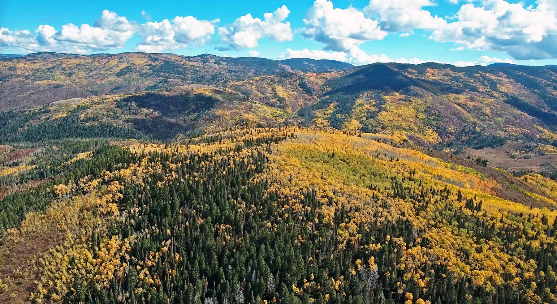 Woodchuck Mountain Ranch property picture 24 of 68