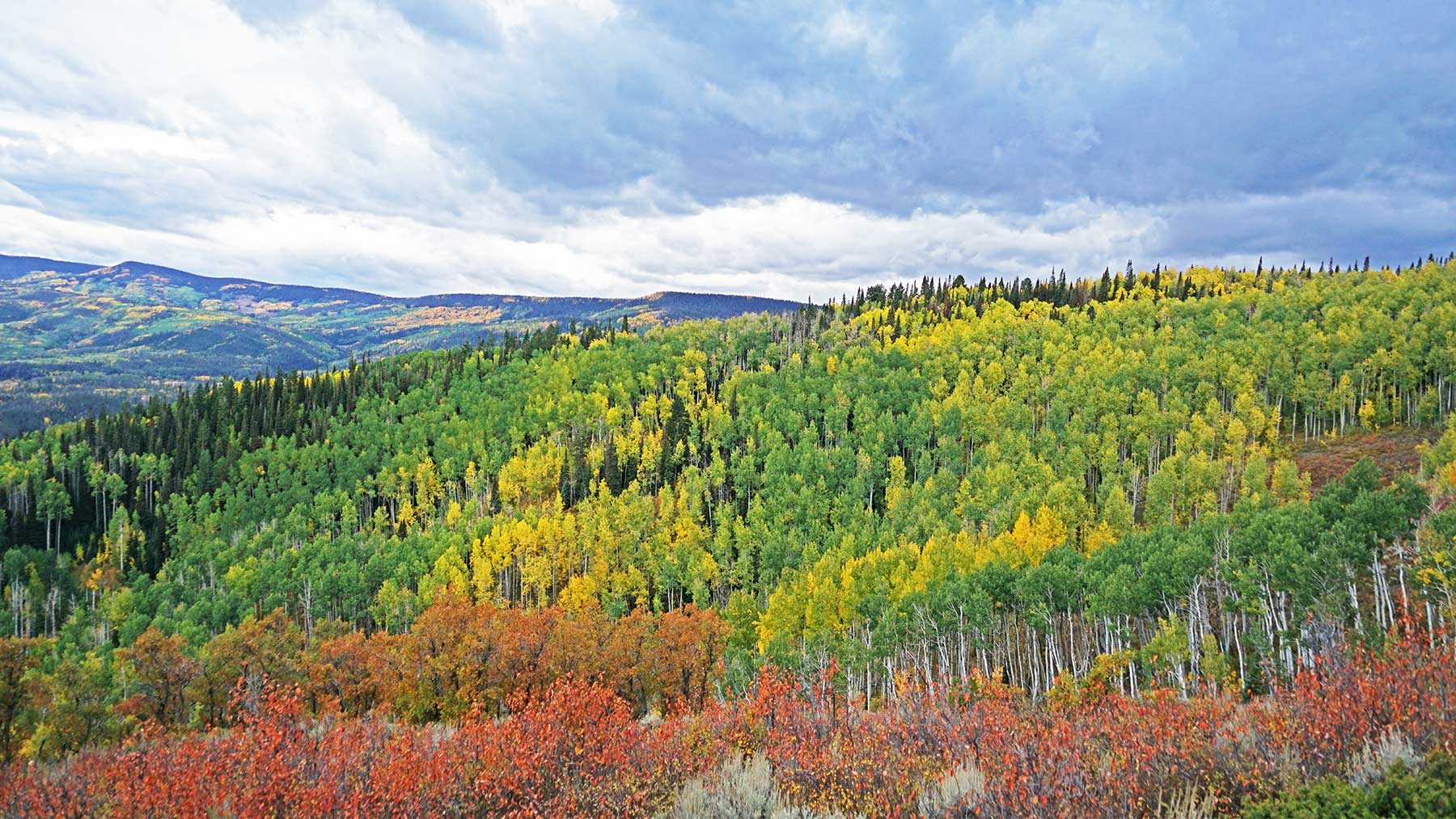 Woodchuck Mountain Ranch property picture 28 of 68