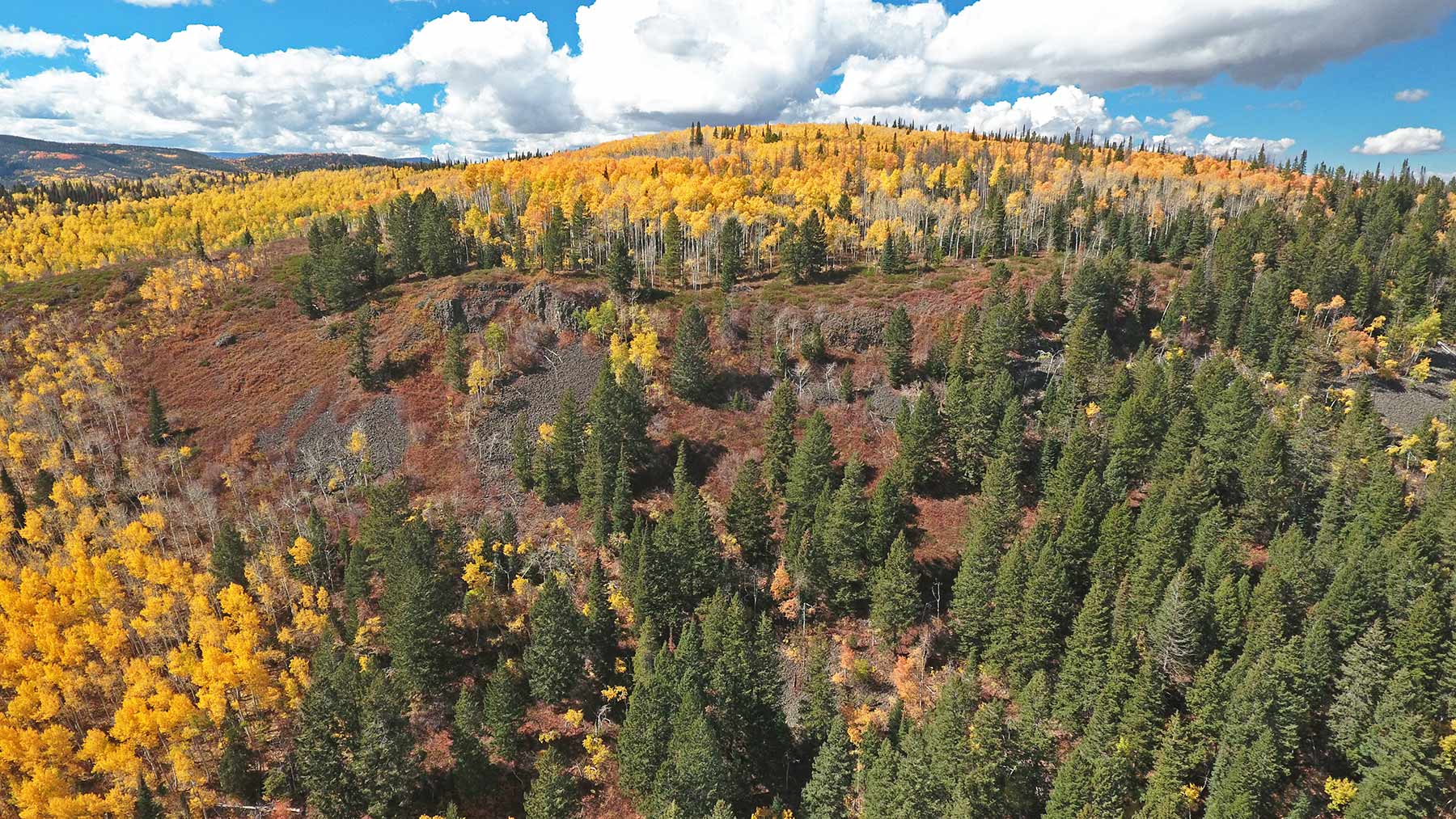 Woodchuck Mountain Ranch property picture 6 of 68